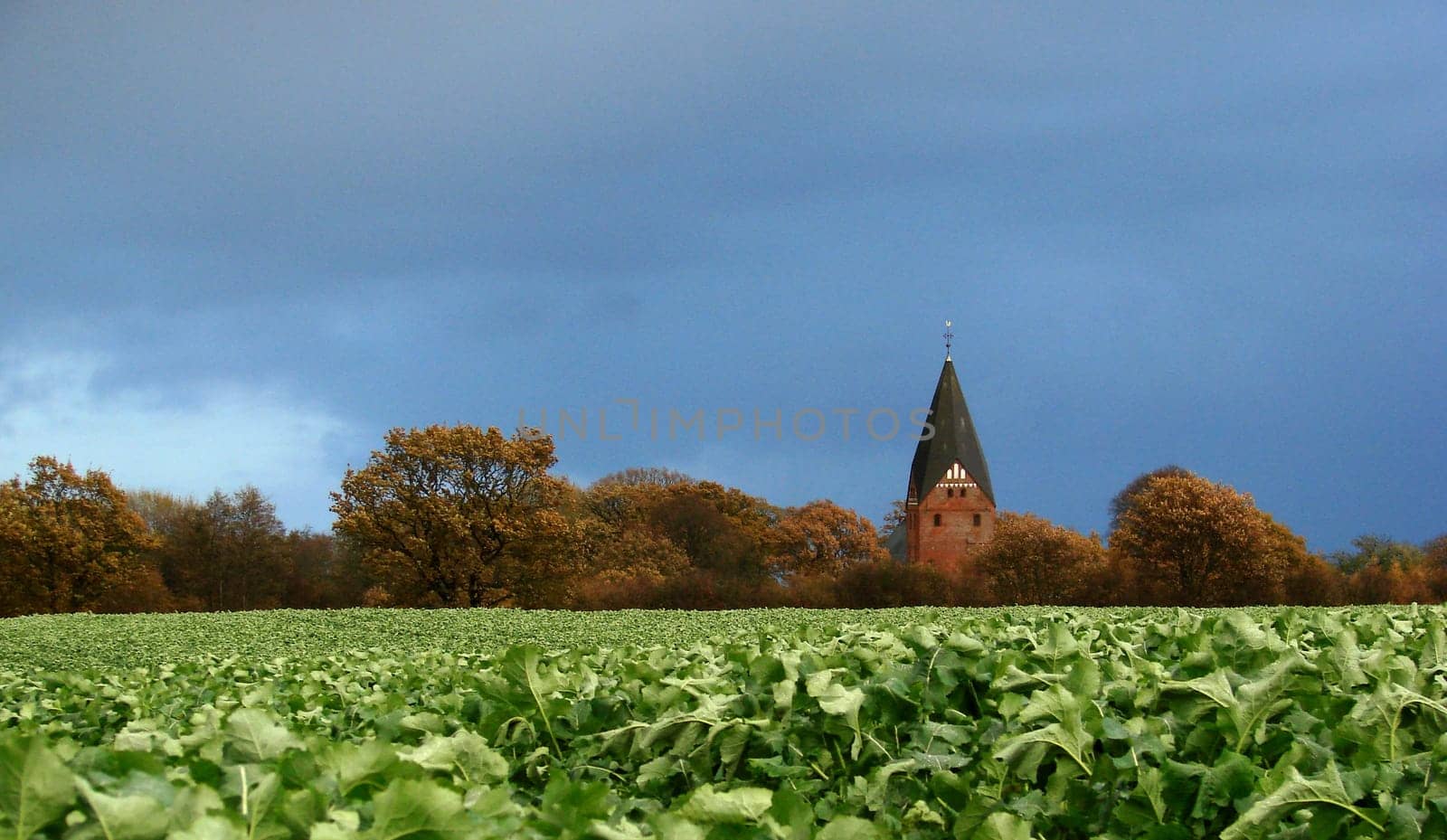 Church in front of the November sky
