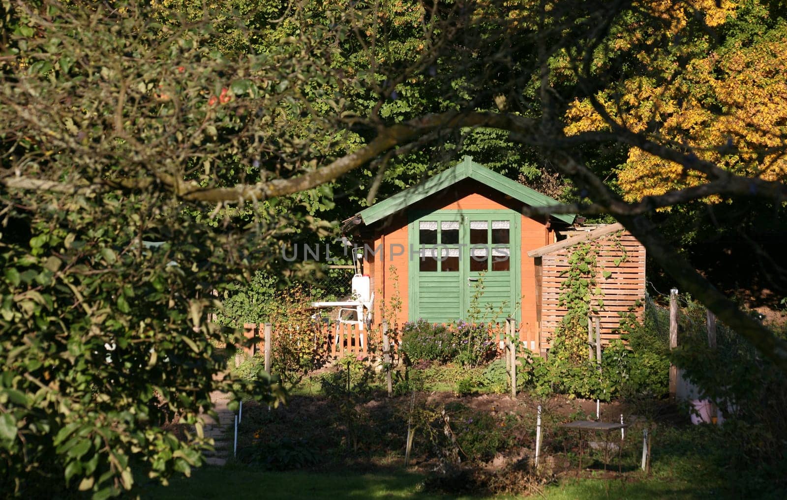 Allotment