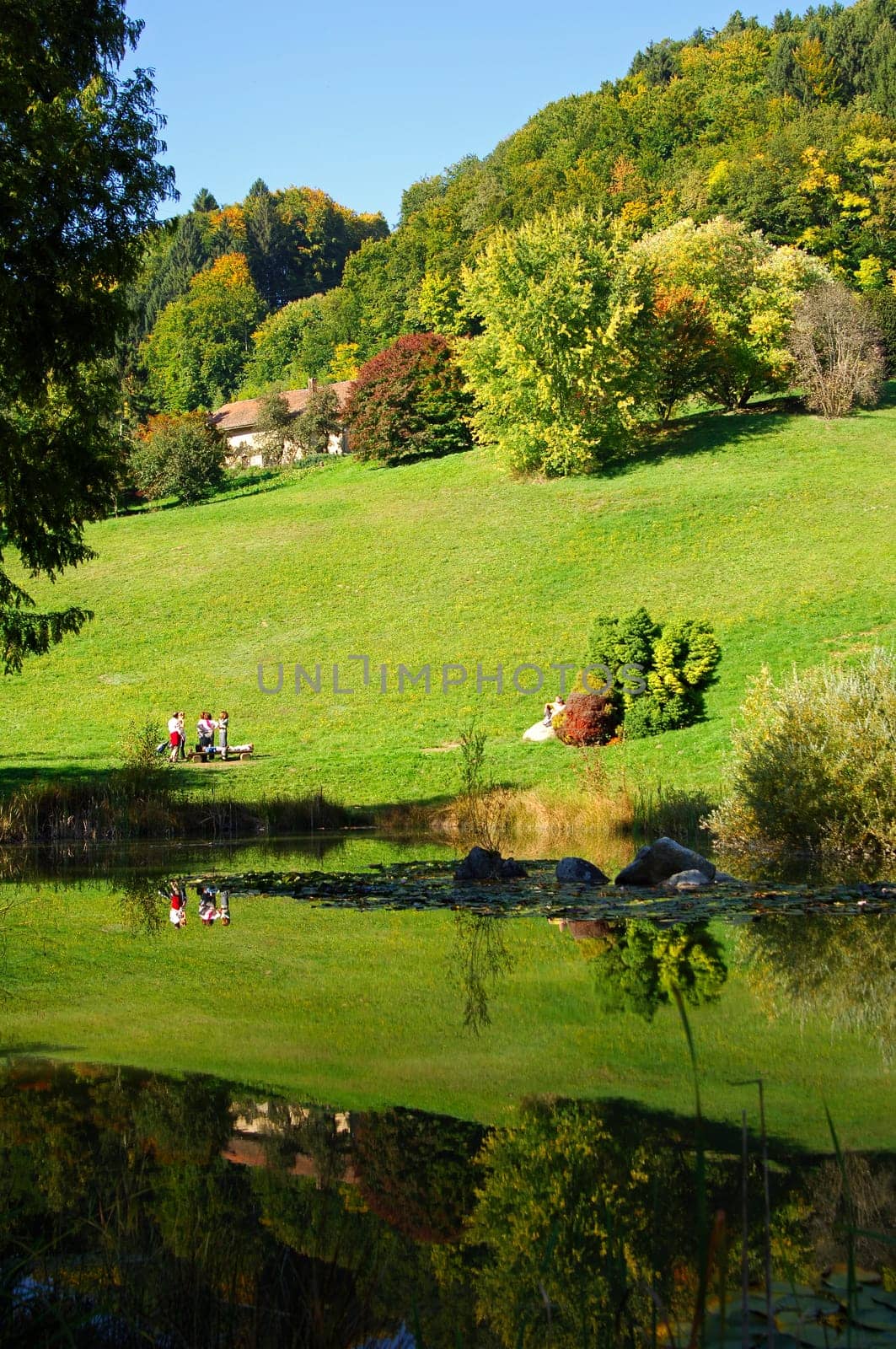 Autumn in the city park