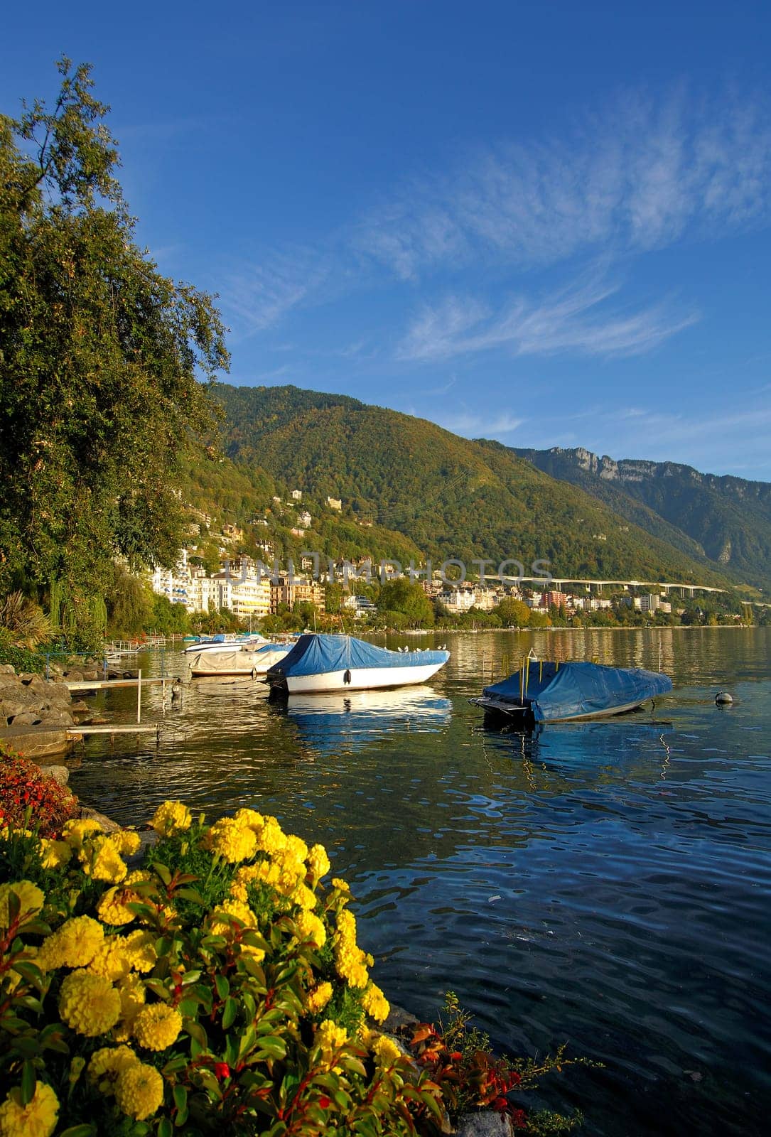 Autumn at the lake,Lake Geneva,Montreux
