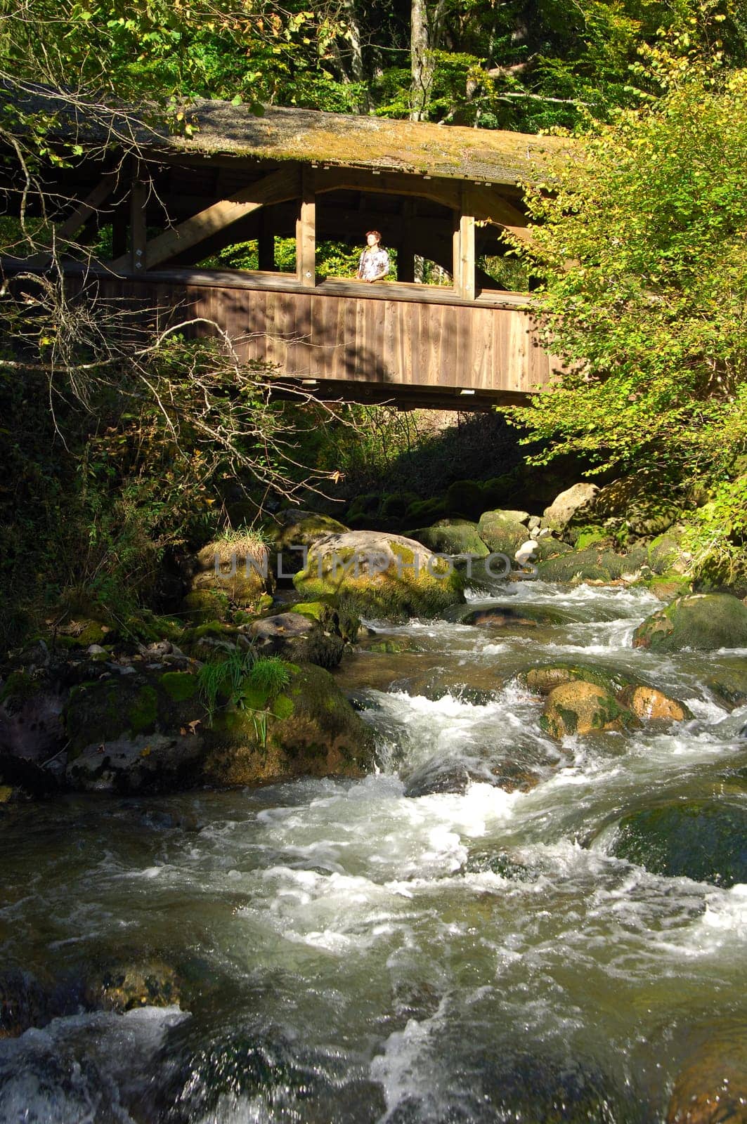 Waldbach