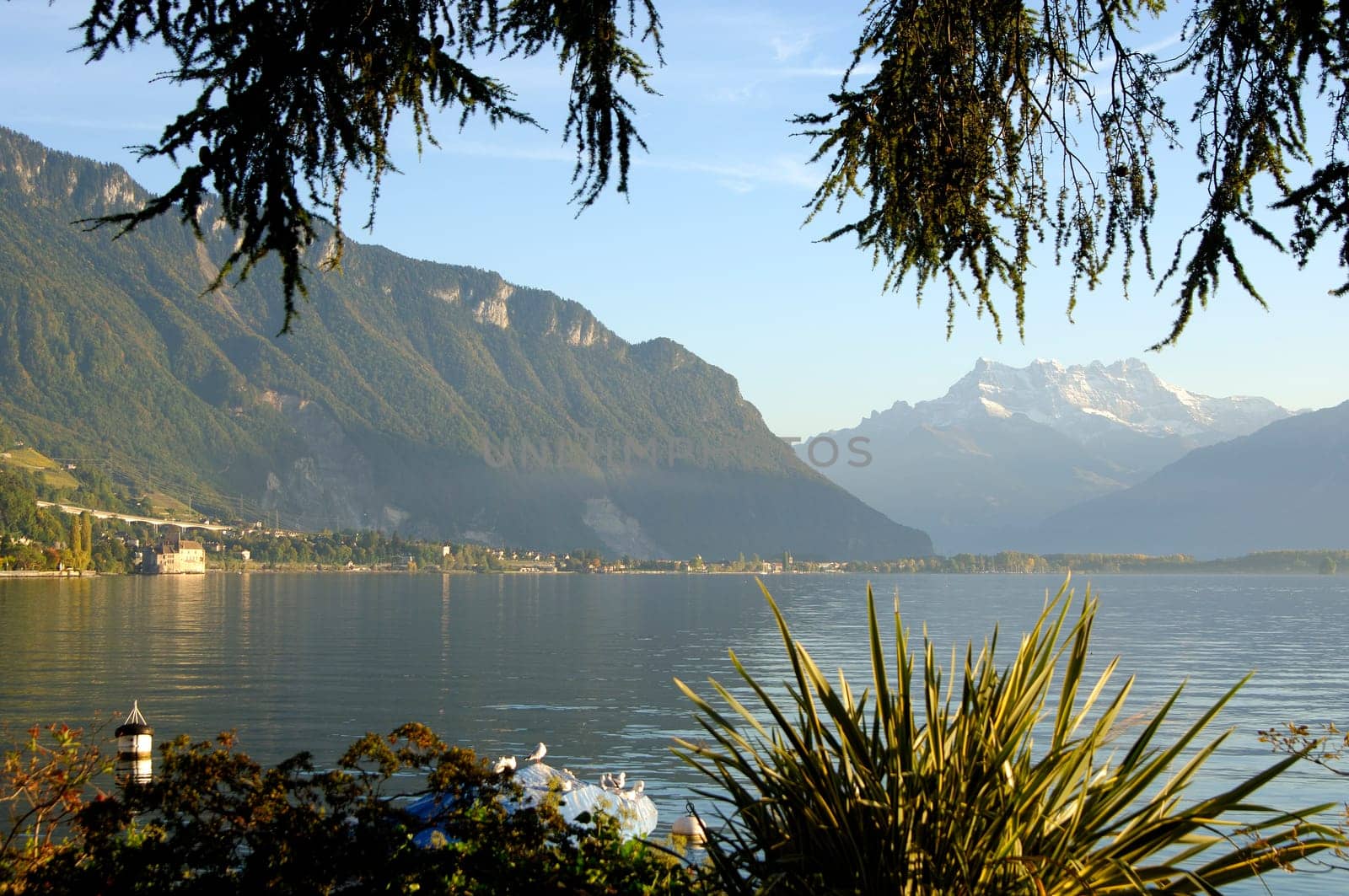 Lake Geneva with Dents du Midi