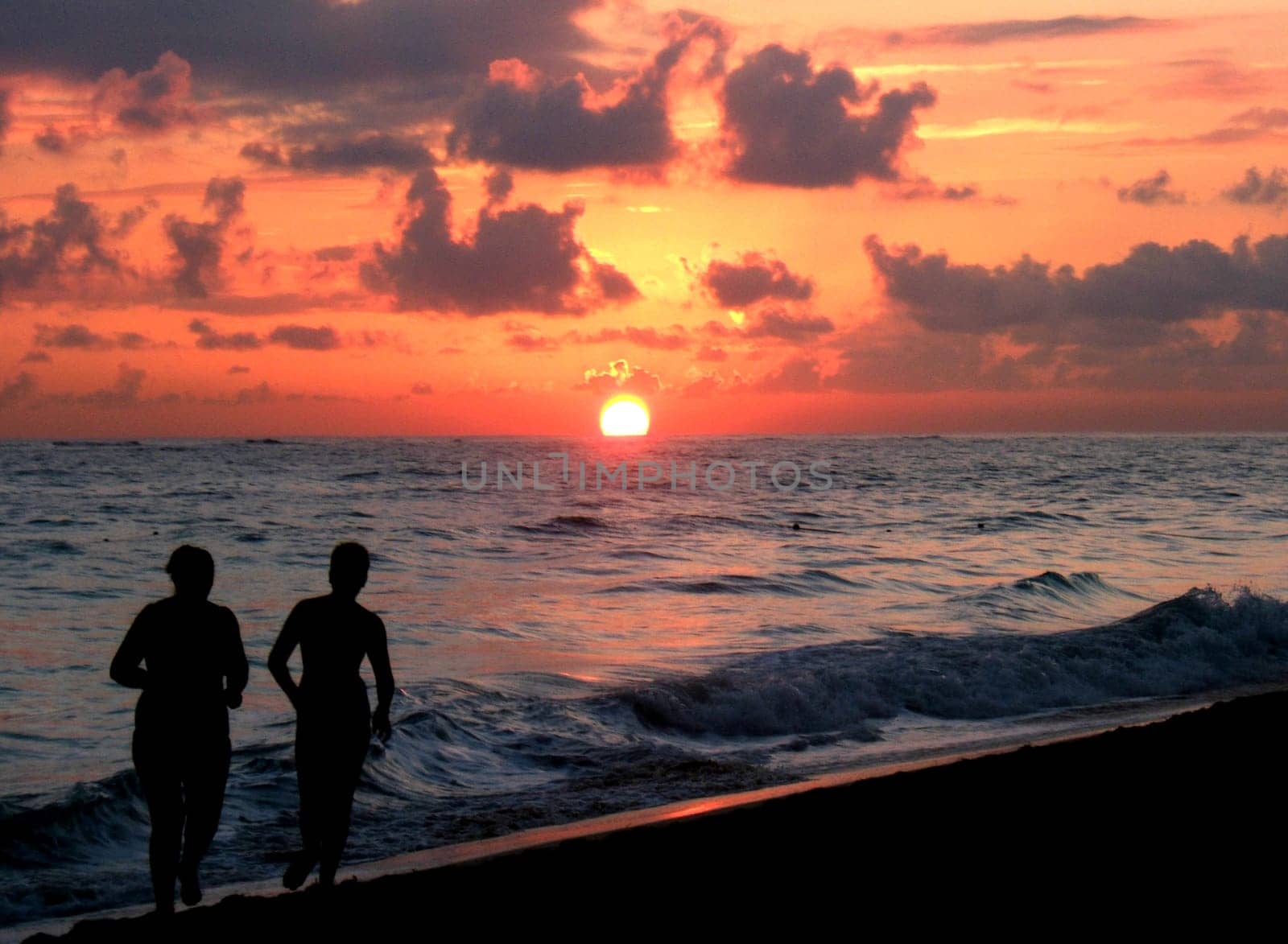 Caribbean Dreams