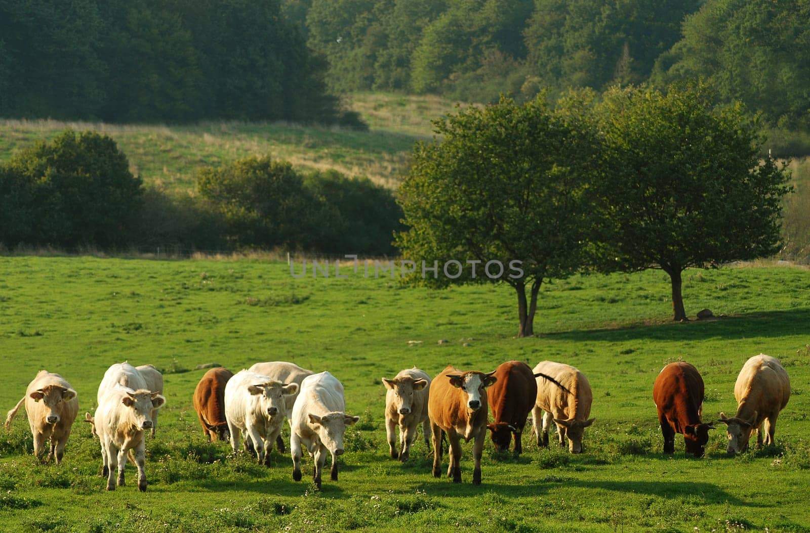 I wasn't quite comfortable when they all approached me....!