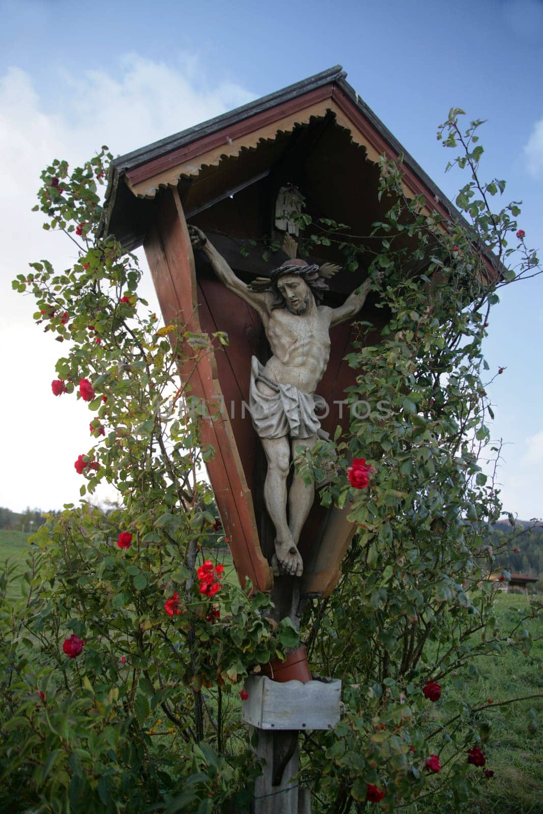 Jesus