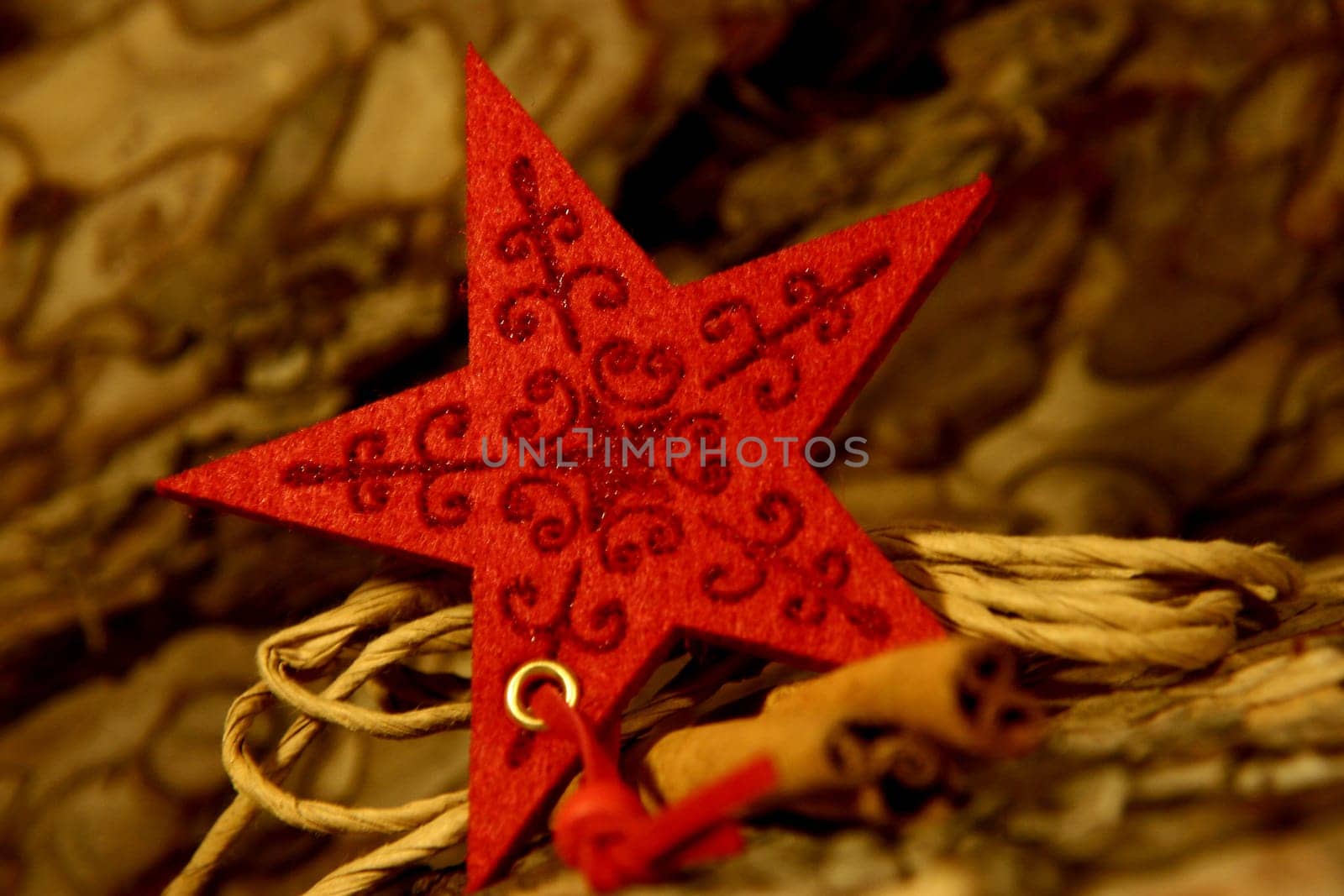 star without celebrity without bird without tree without starfish