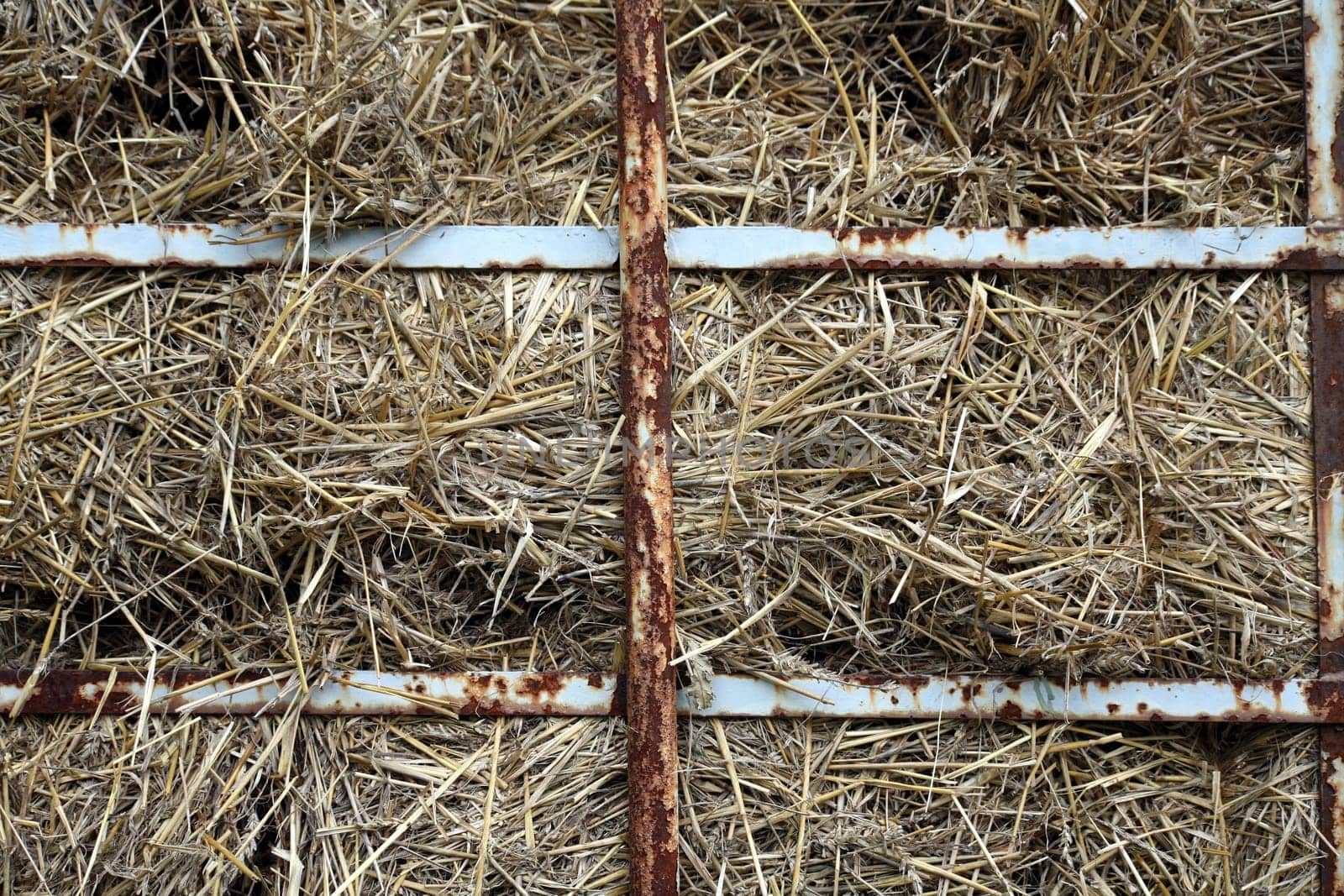 Straw