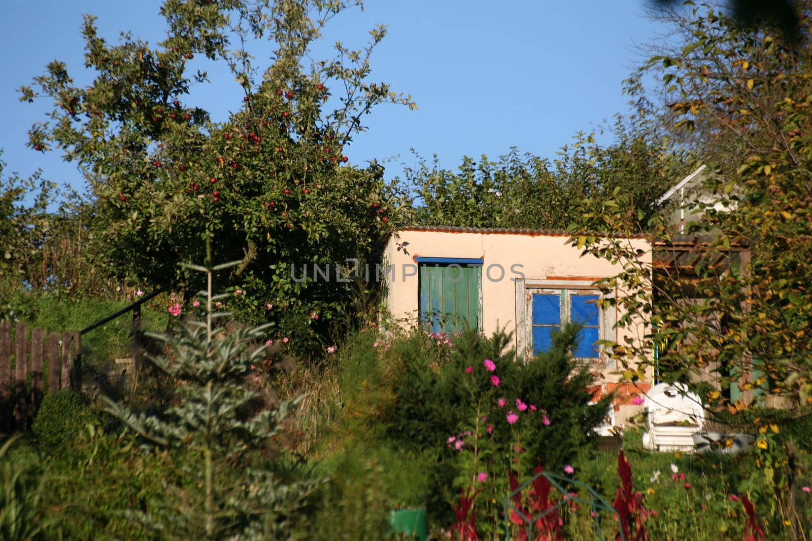 Allotment