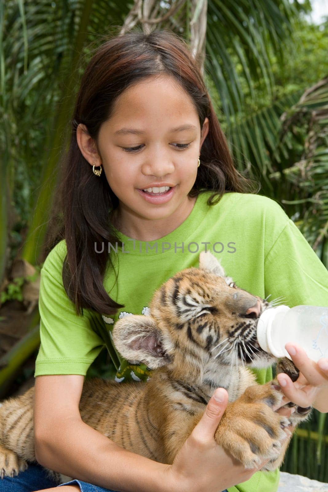 Tiger cub