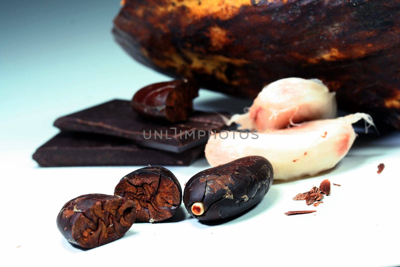 cocoa beans