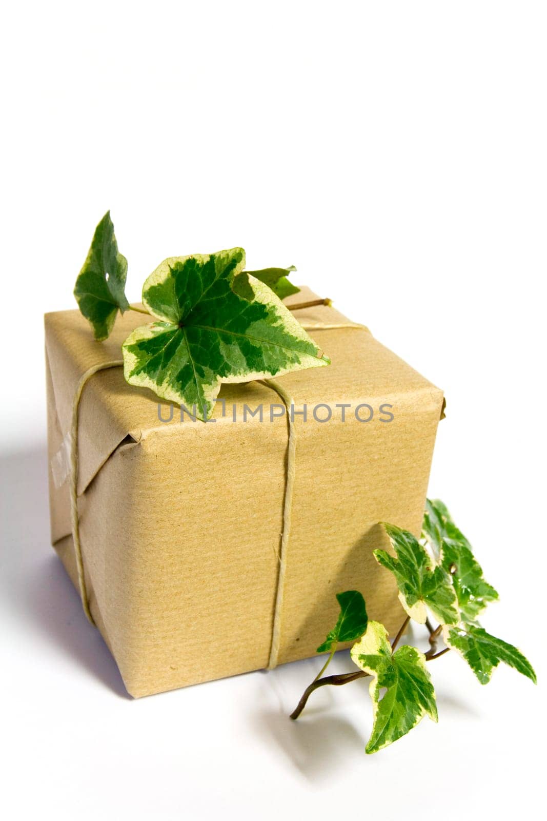Gift Package