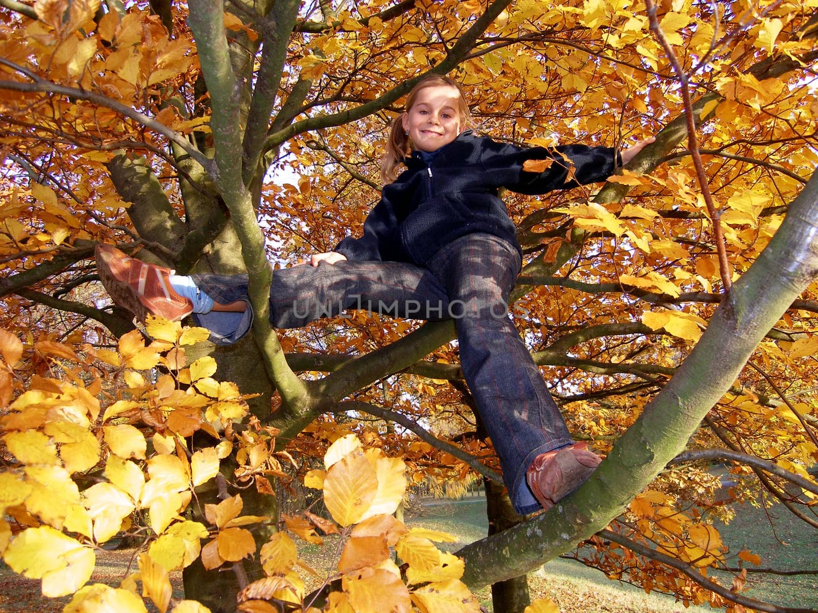 Was once again with my niece Lisa on a photo tour. This time in the Wilhelmsthal Palace Park near Kassel.