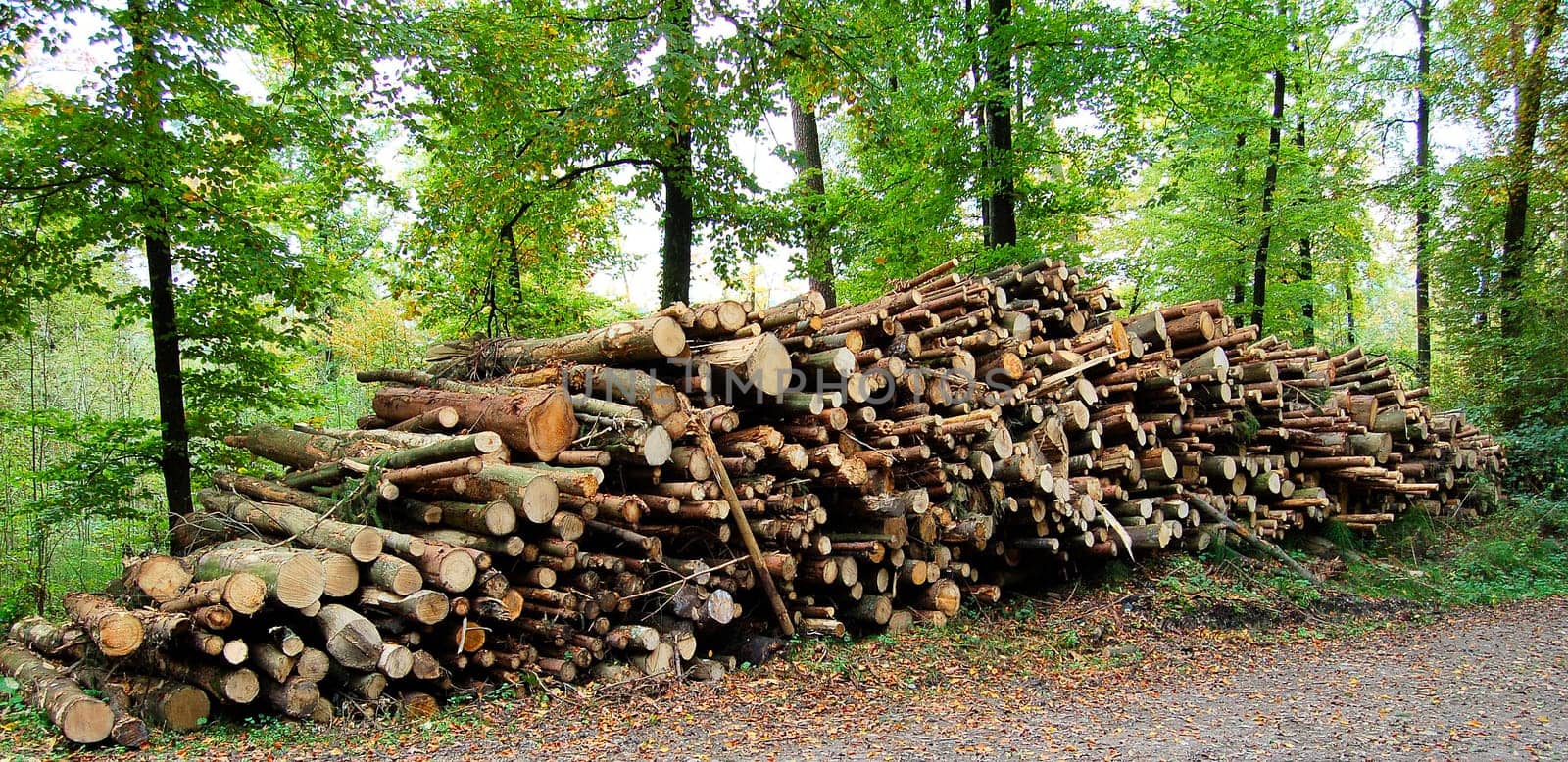 Everyone can load as much of this wooden butt as they want on their shoulders for training.