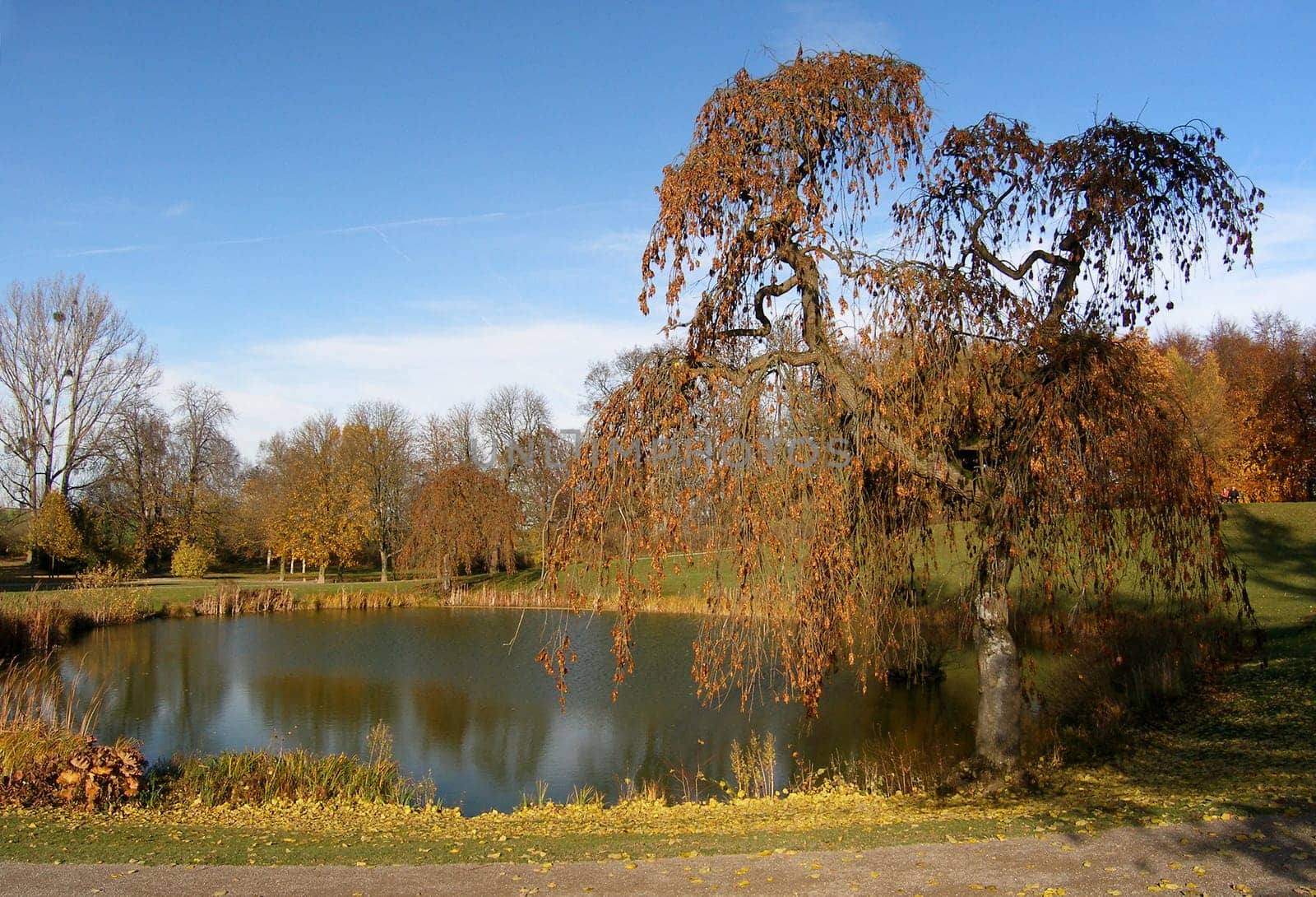 At the lake