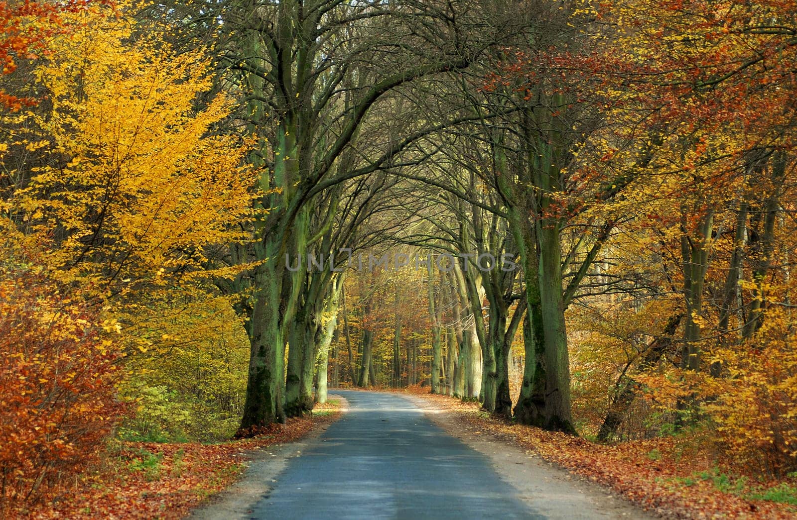 Today once again a look at the road that I always have to drive to get to work or to the city. Today without fog.....!:-)