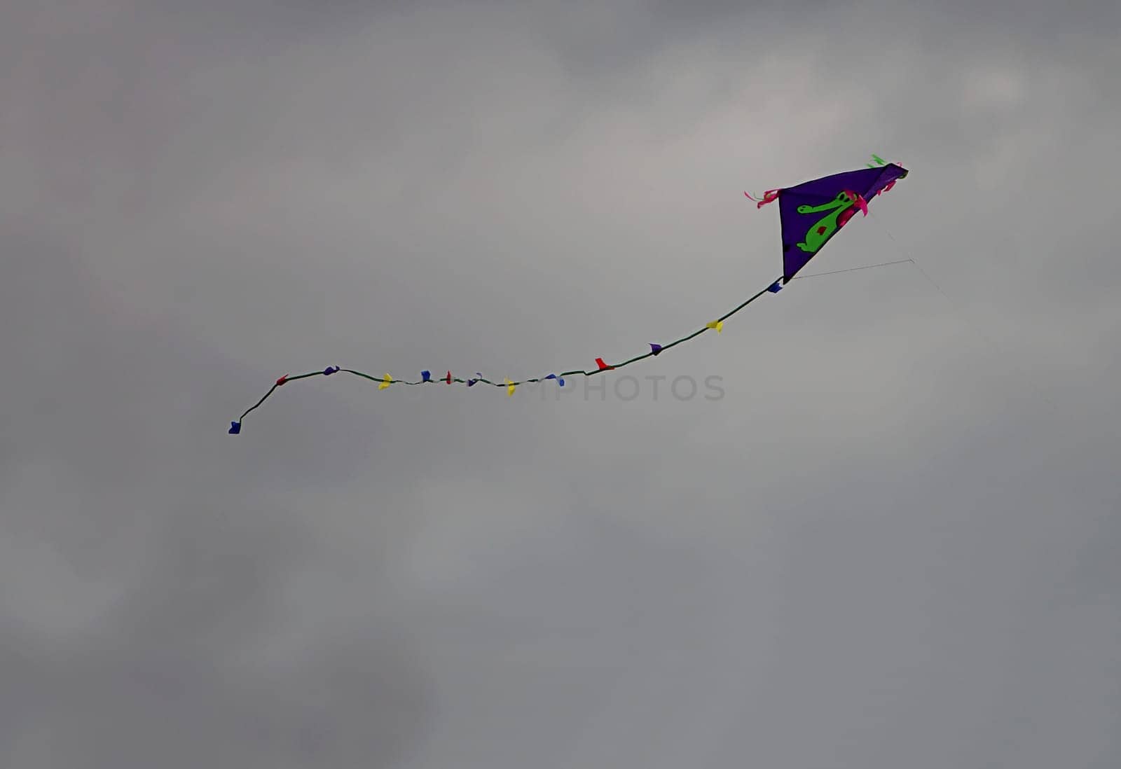 Kite