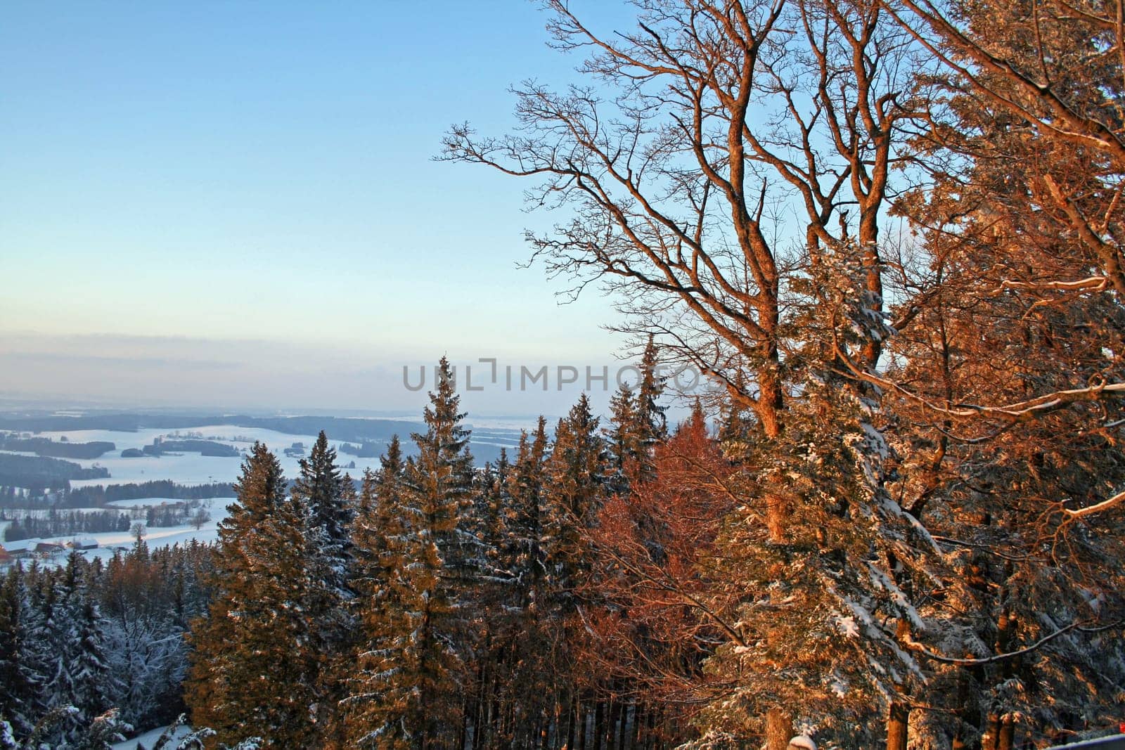 Wonderful winter landscape