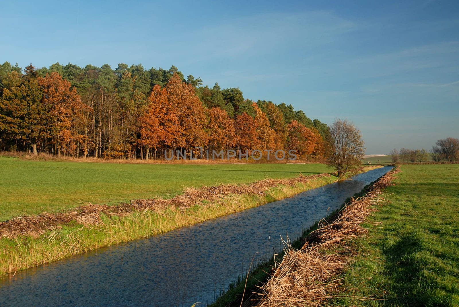 Meadows and forests