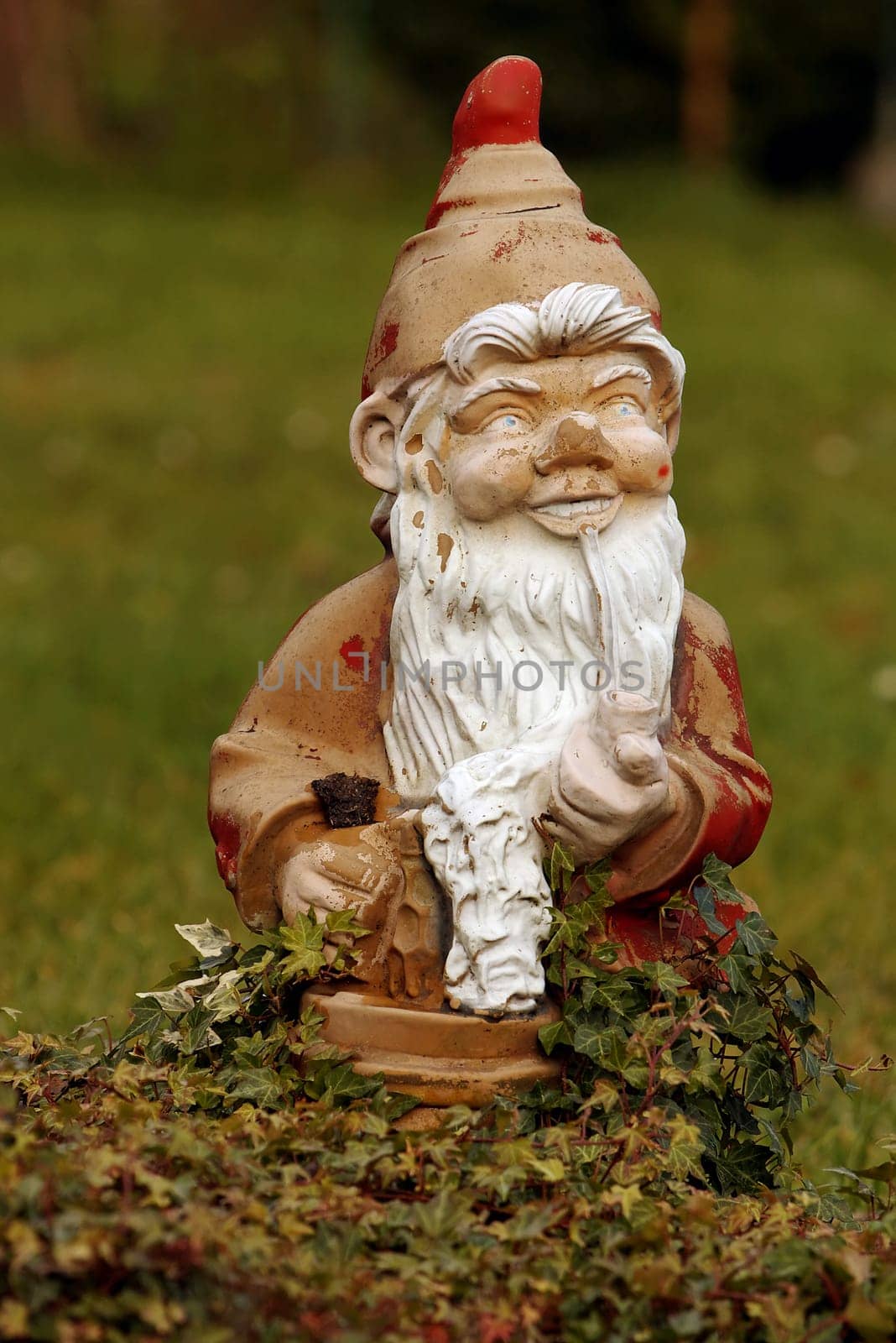 GARDEN GNOME