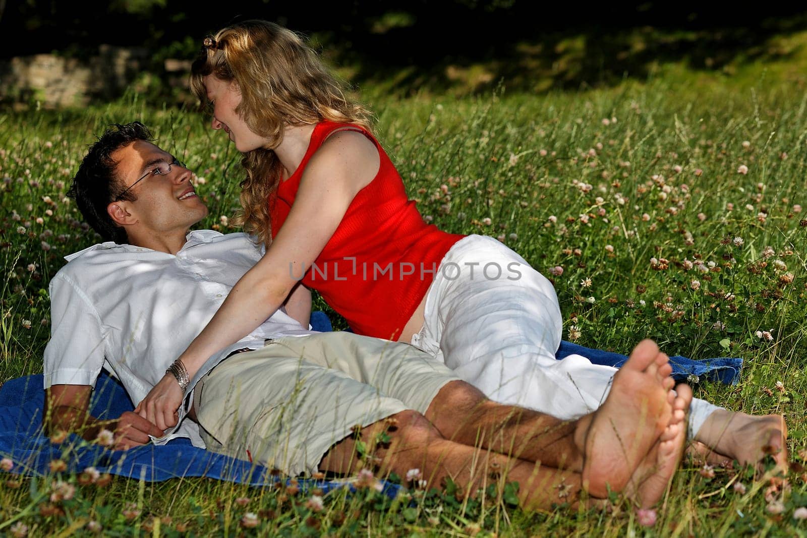 Lovers in the countryside I