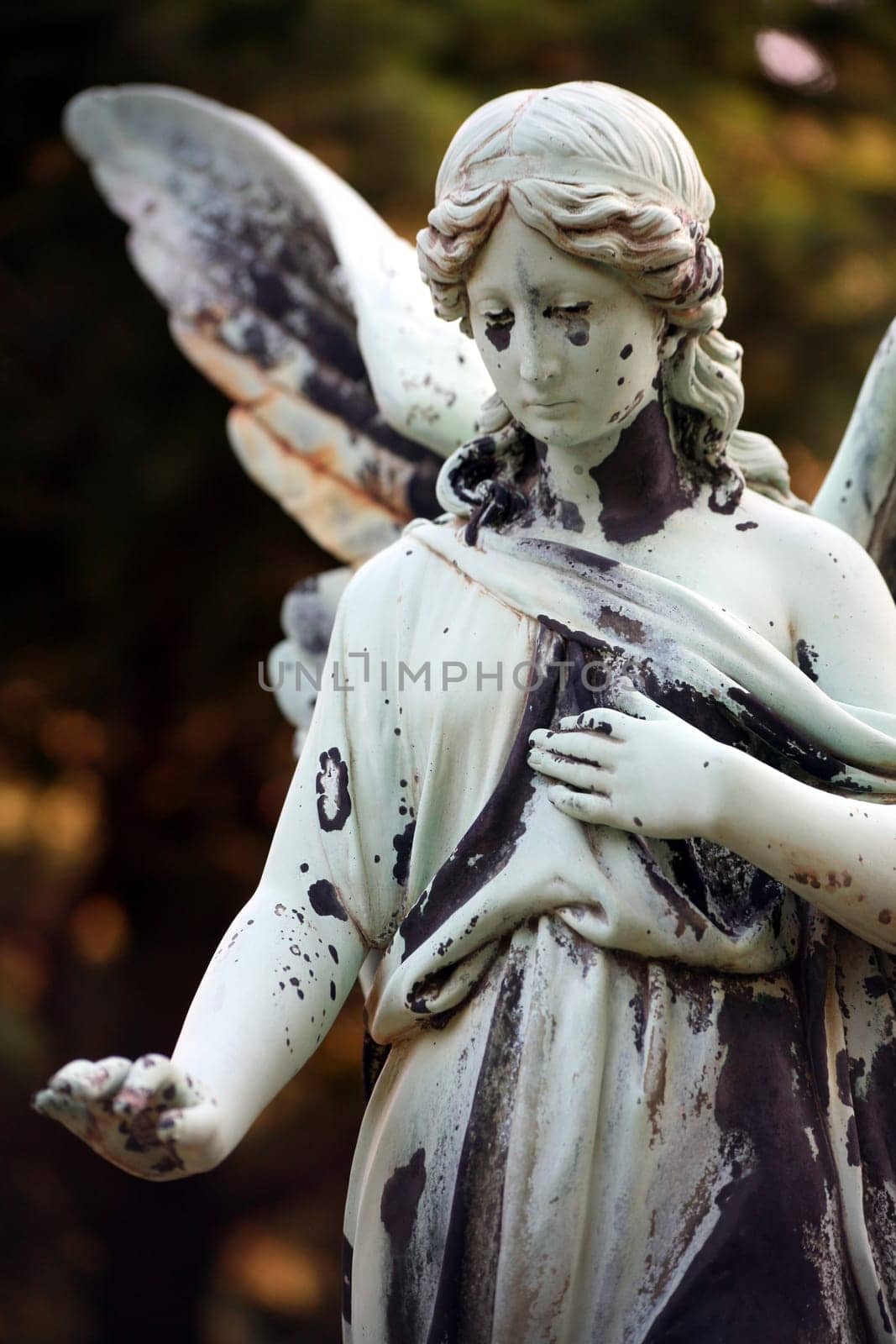 Angel statue in an old cemetery