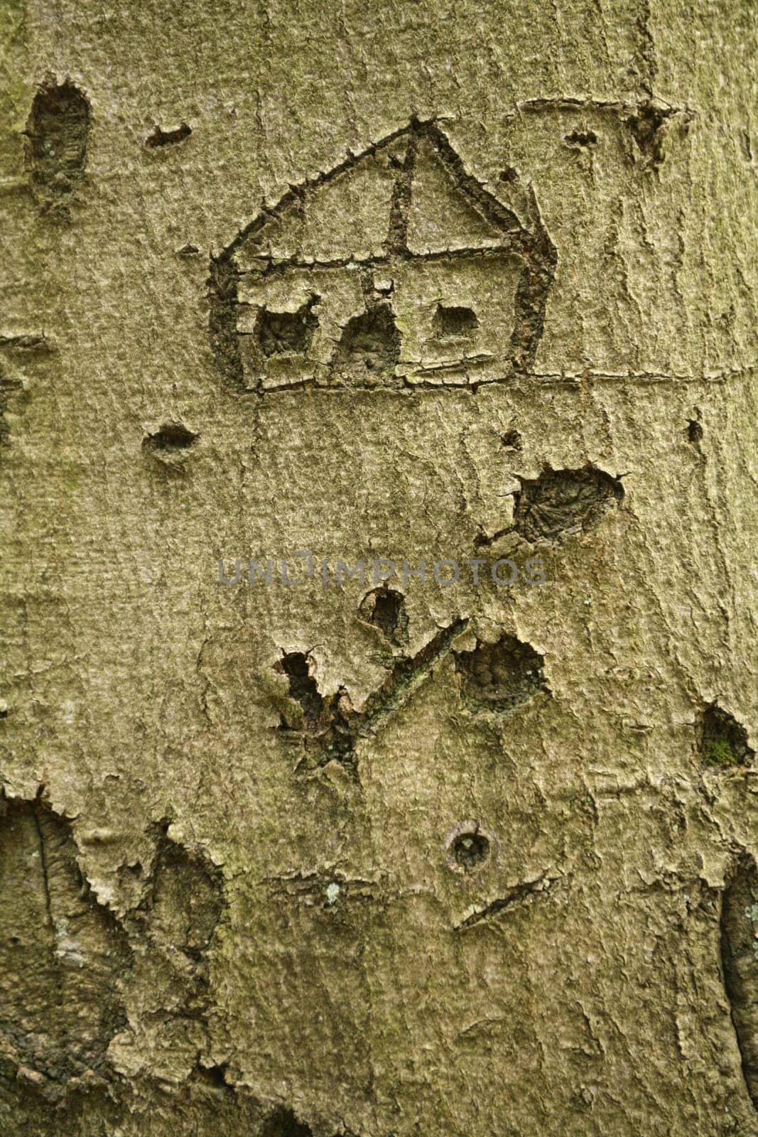 treehouse