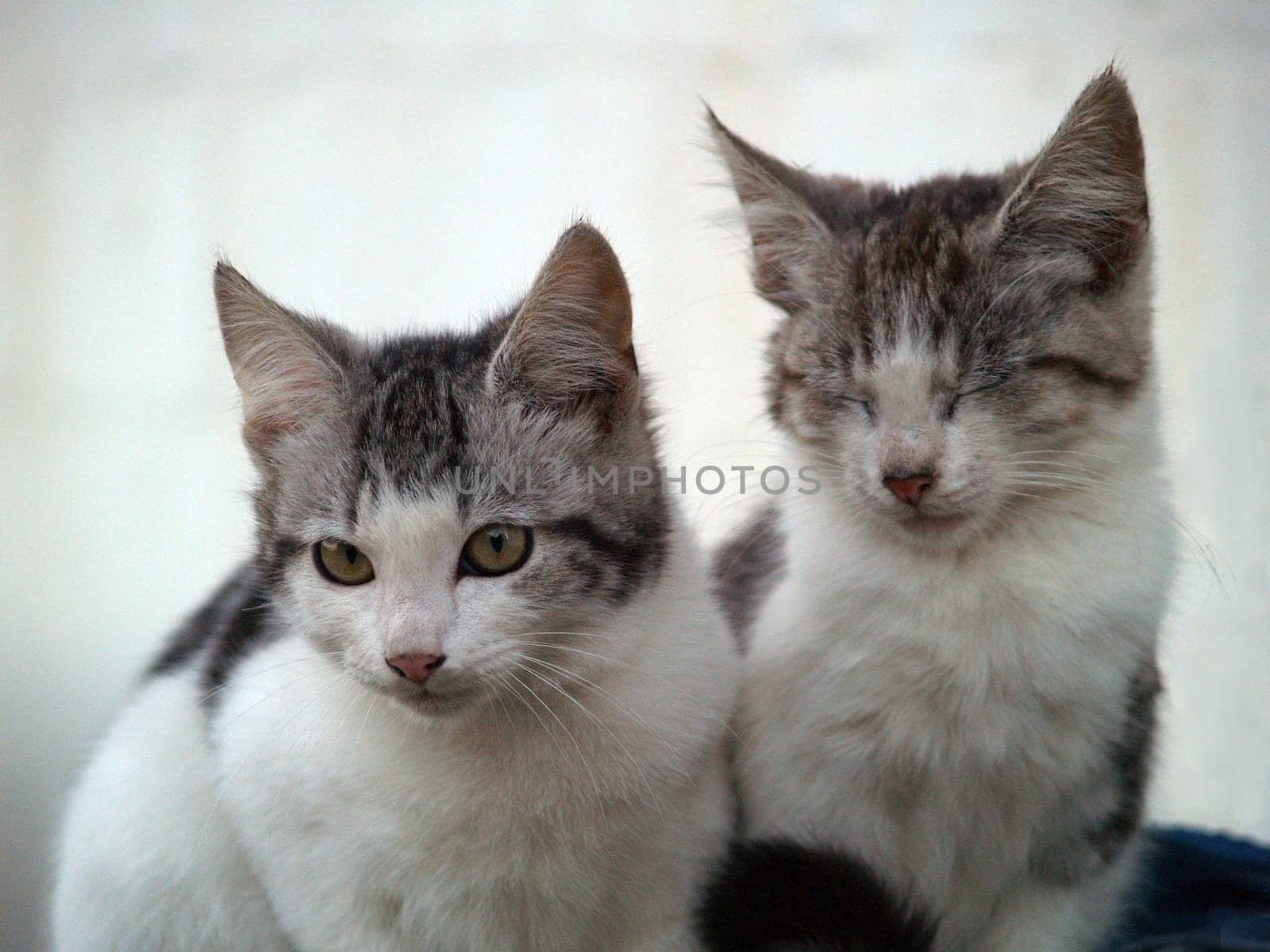 Sibling