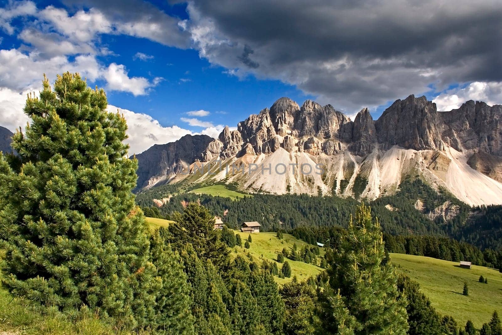 Mountain