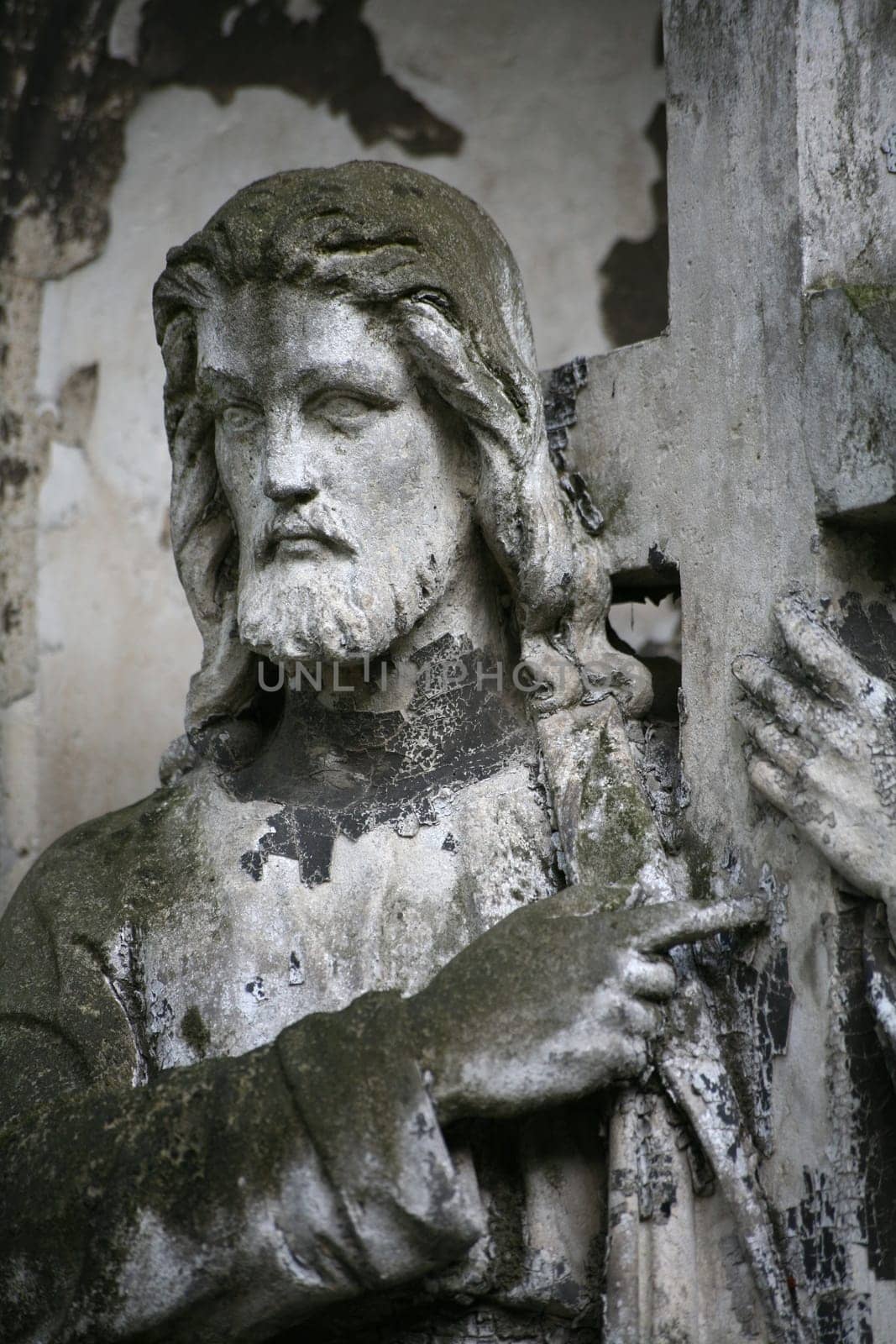 In an old cemetery
