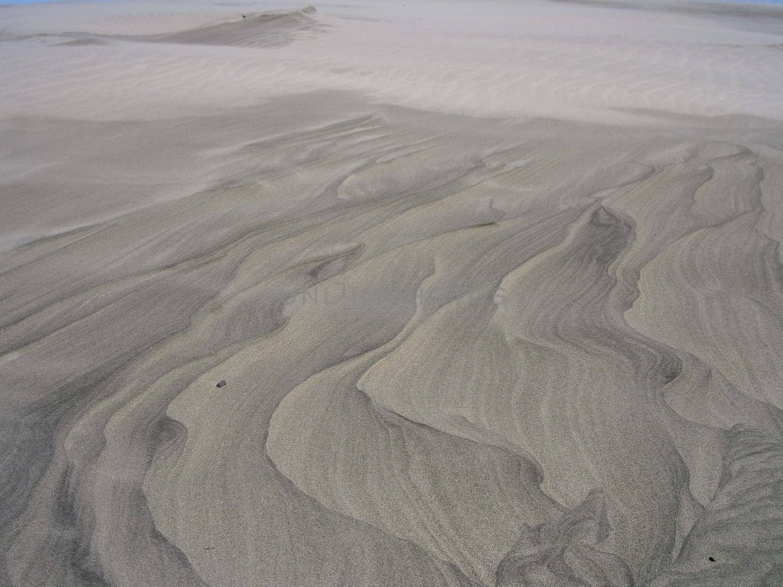Quicksand in New Zealand