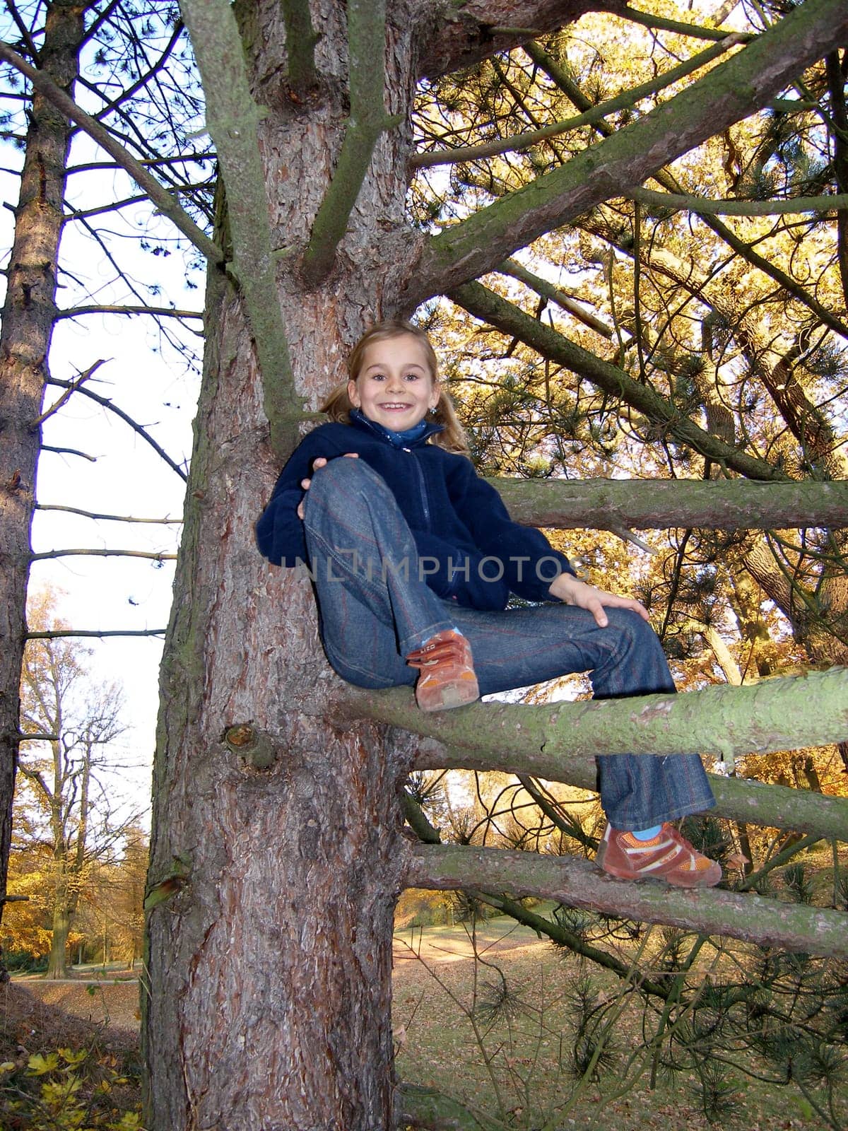 On the branch...