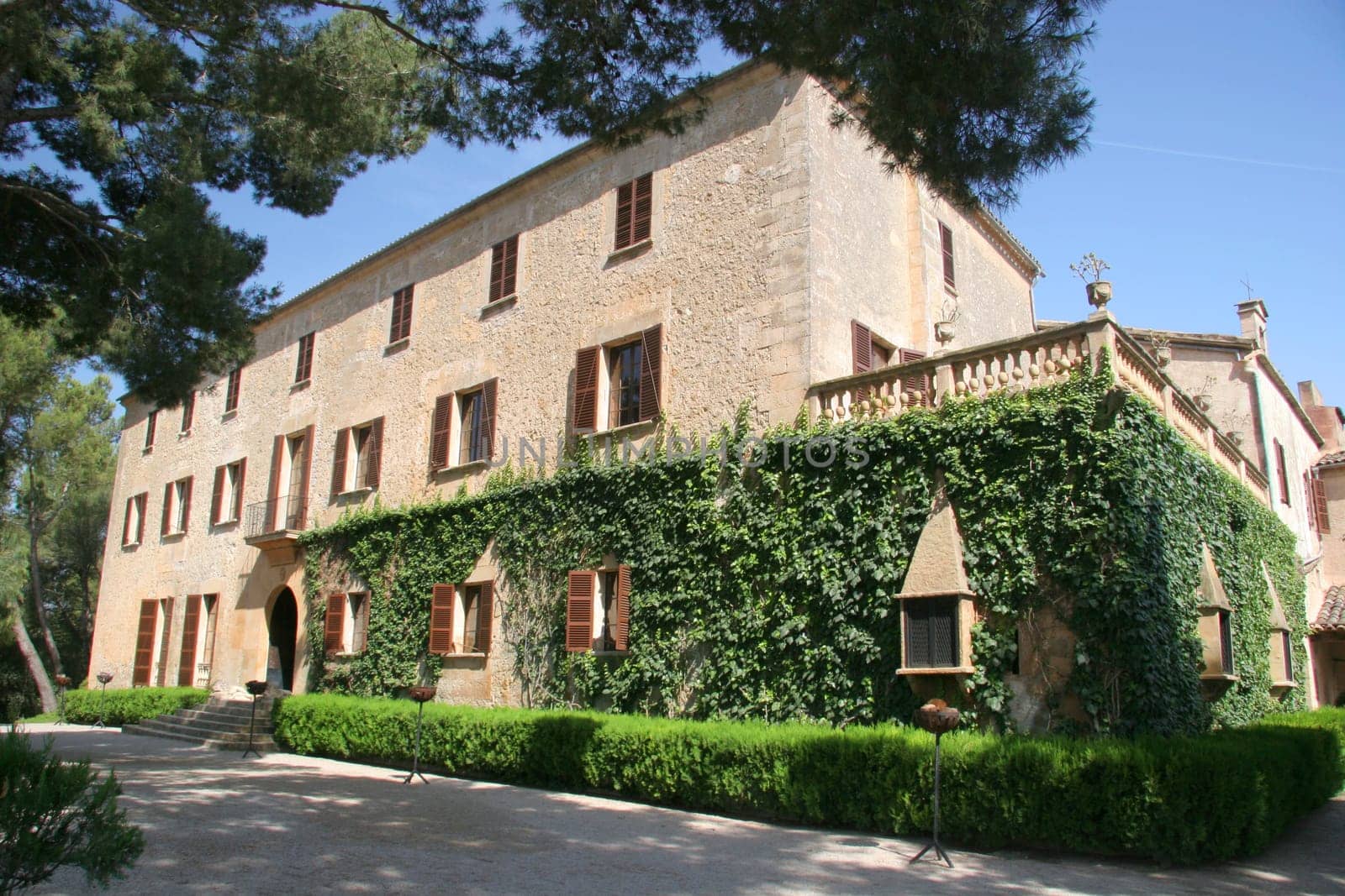 Finca