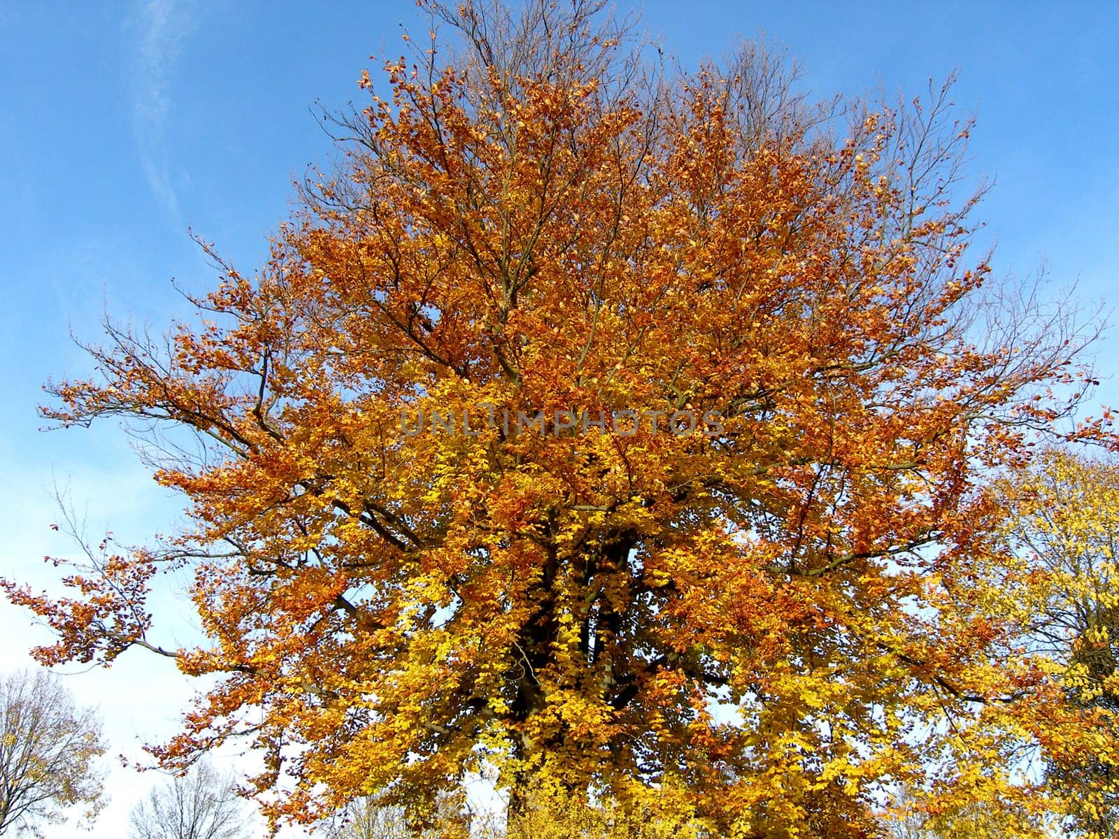 Autumn is coming