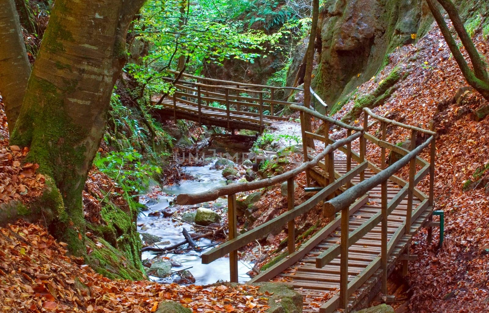 Rastenbachklamm II