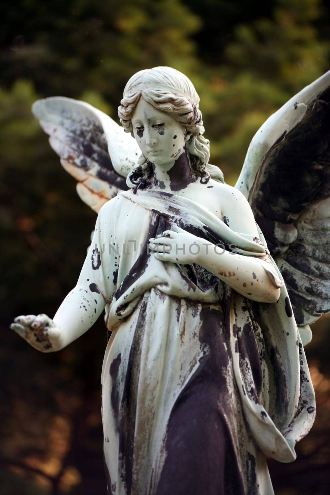 Angel statue in an old cemetery