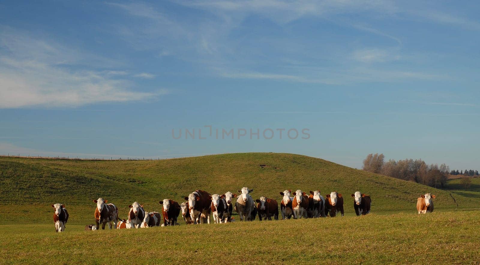 Behind the Hill