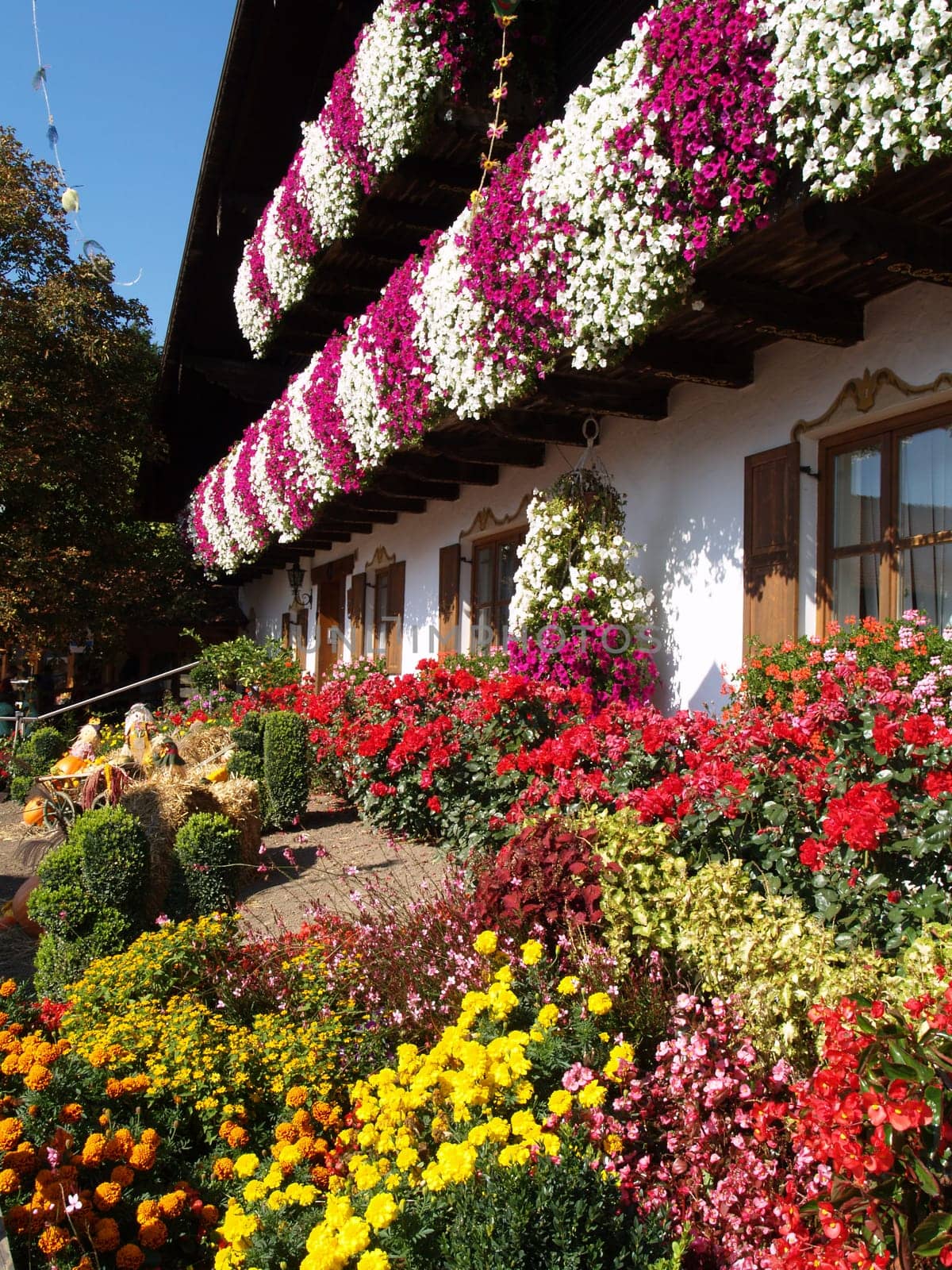 Farm House Garden