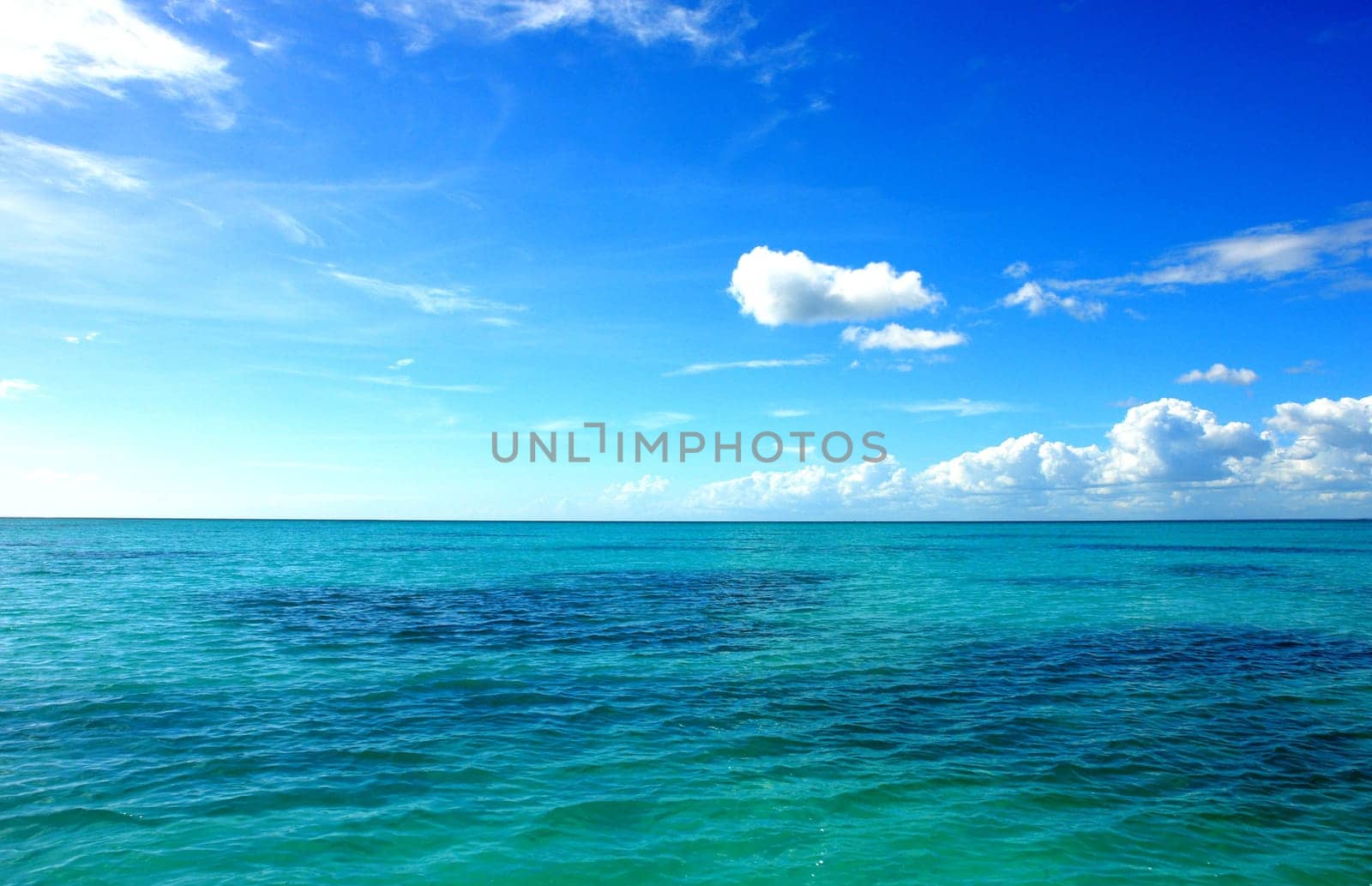 Caribbean