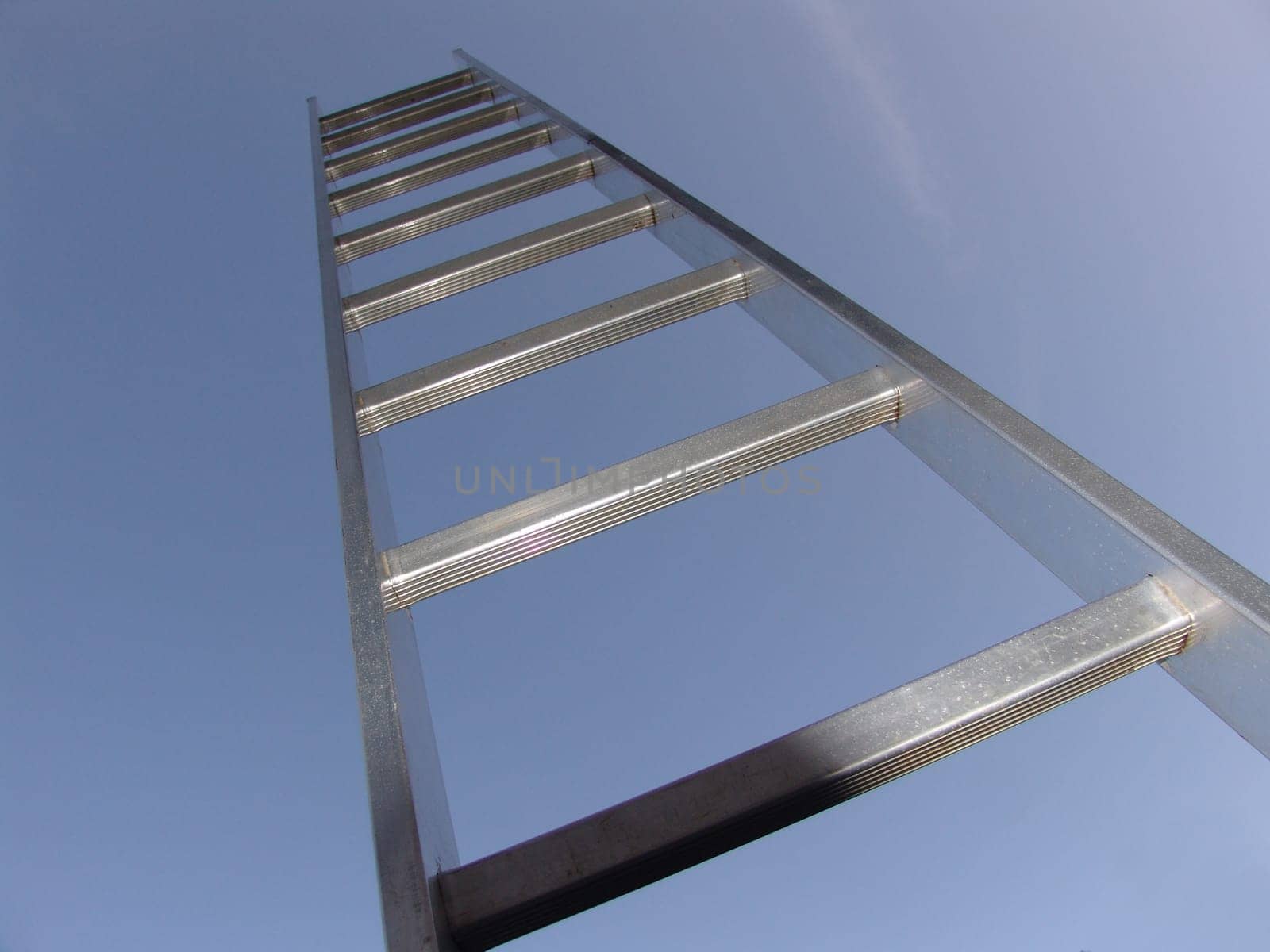 Ladder