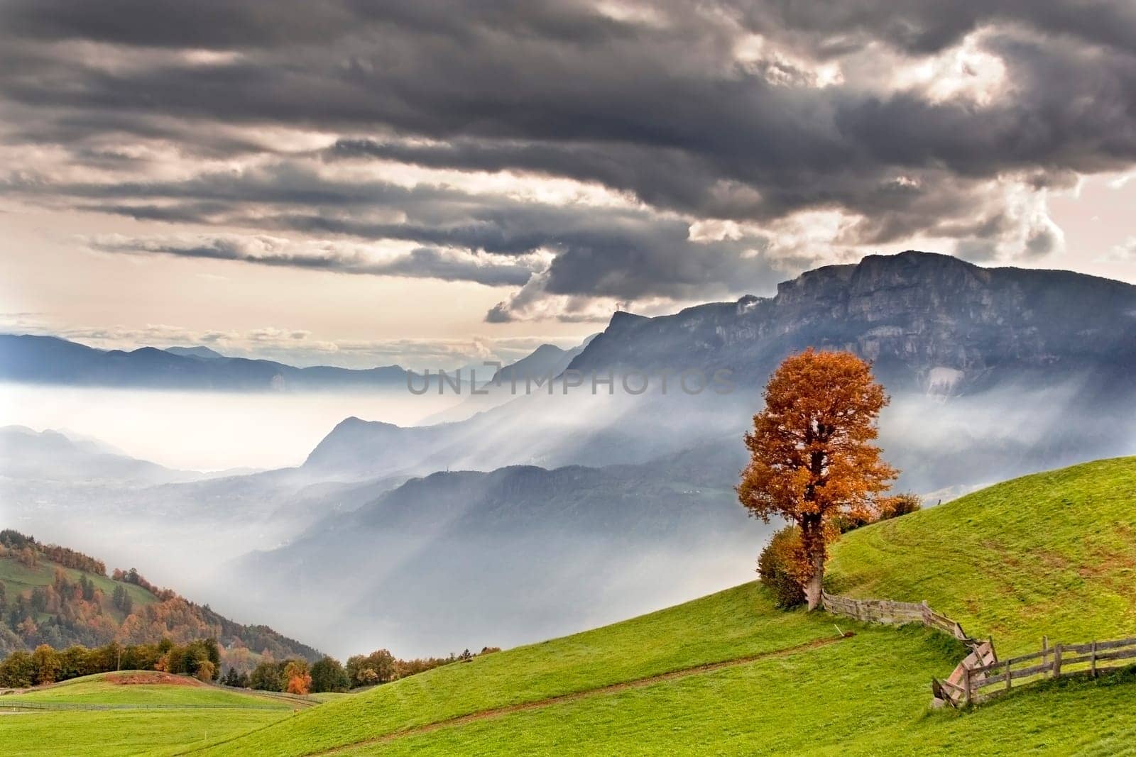 Autumn landscape