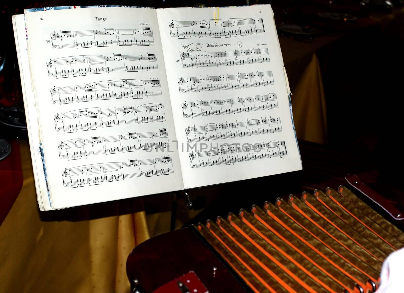 Musician