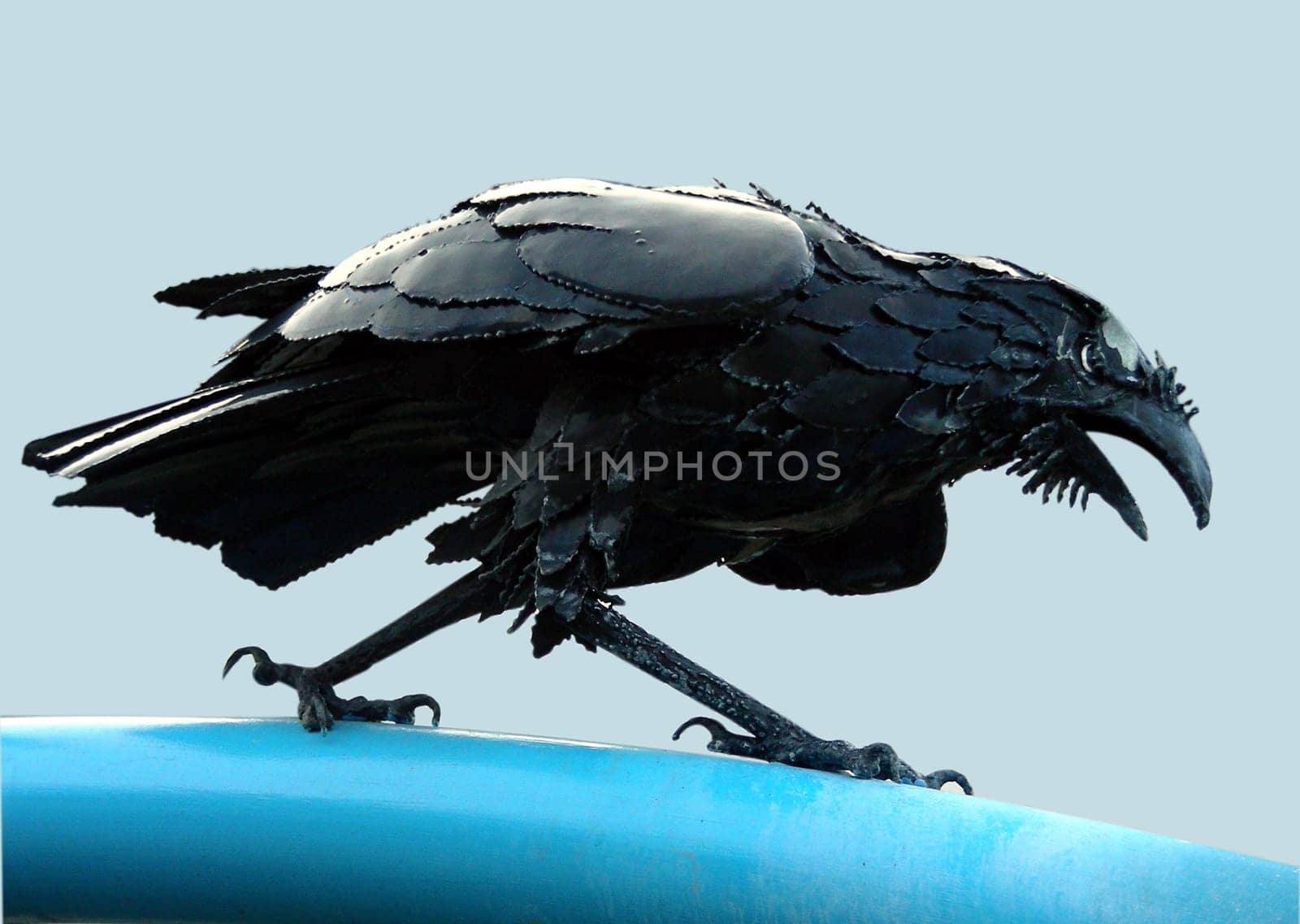 Raven