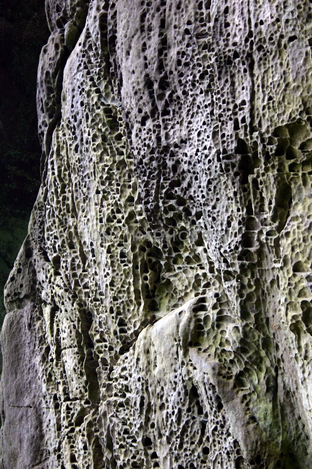 Close-up of a rock