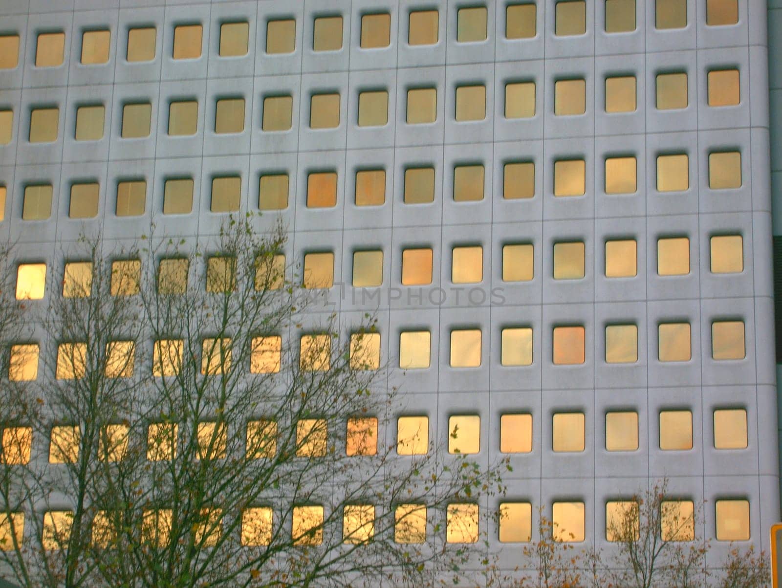 Sun windows