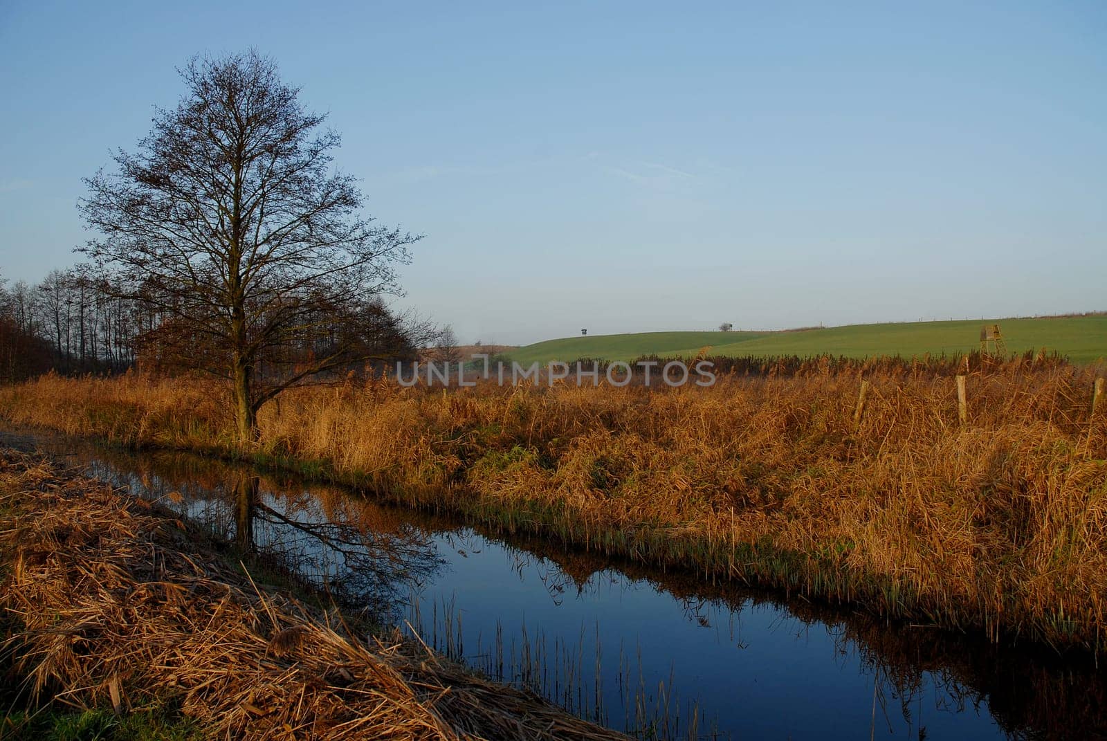 Very often it is not windless here in the north. Today,however,there was no breeze....!:-)