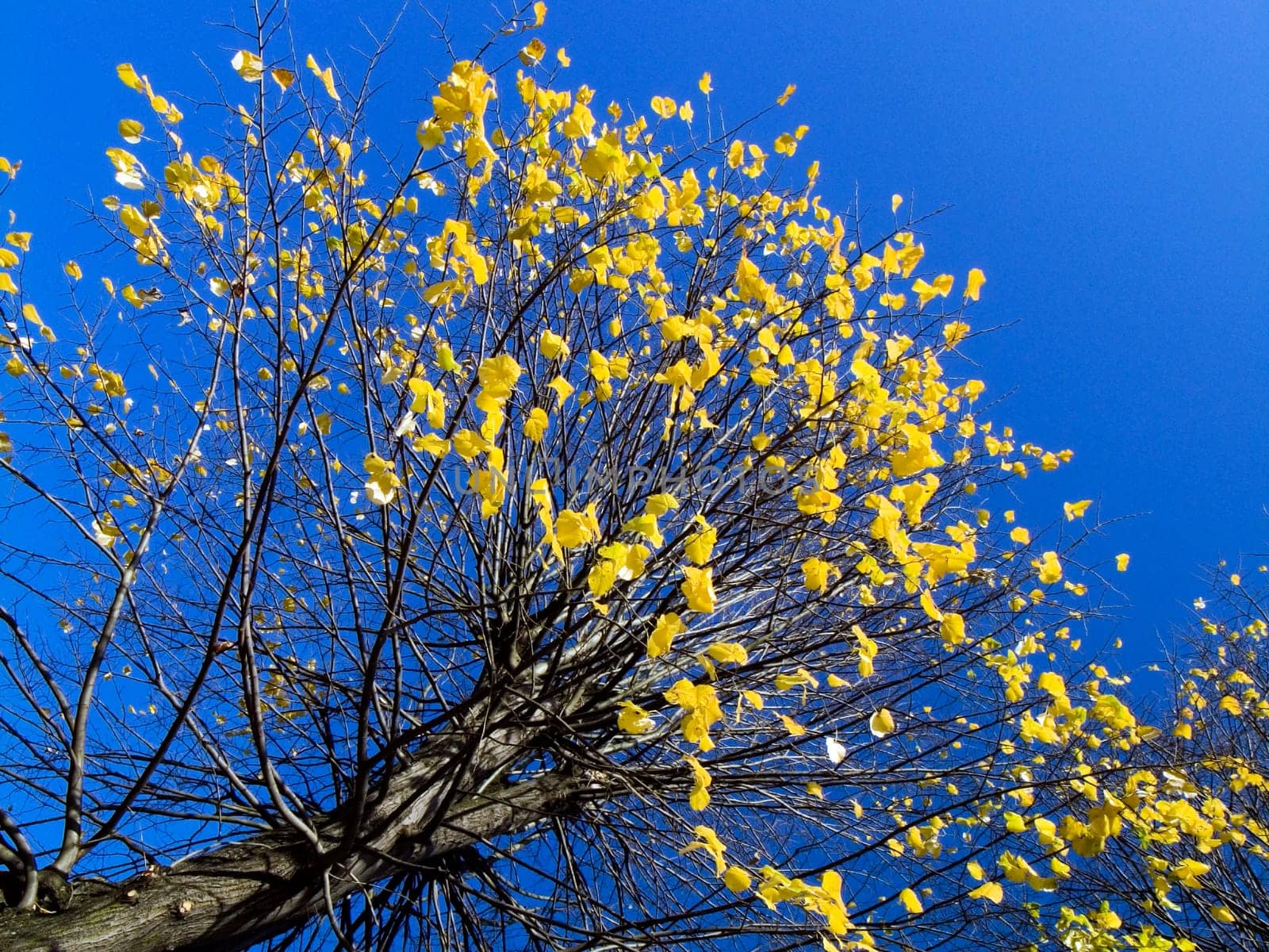 Autumn - Impressions - 4
