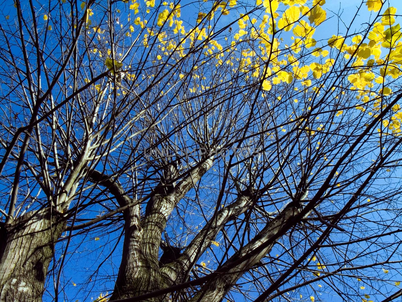 Autumn - Impressions - 2