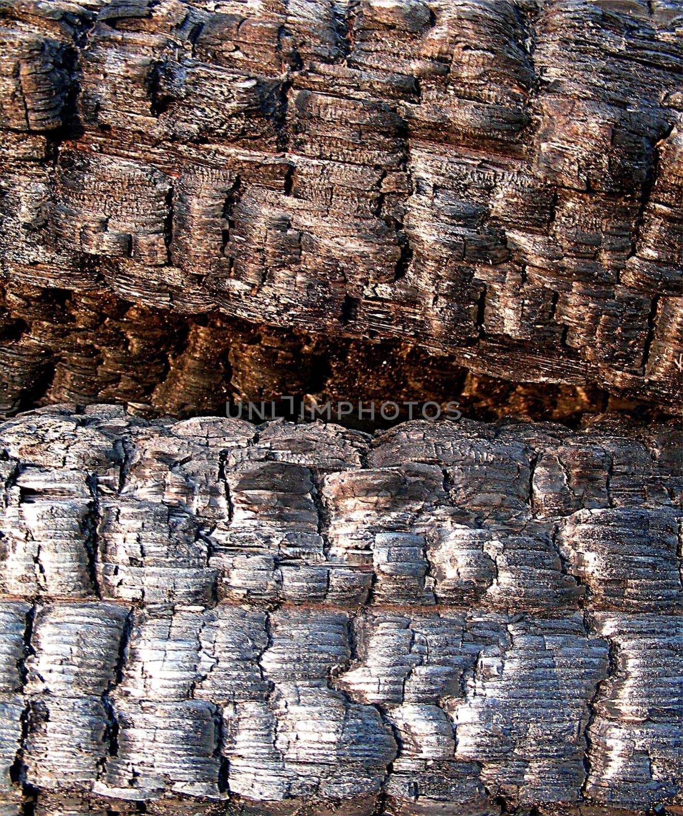 Wooden beams - after the fire