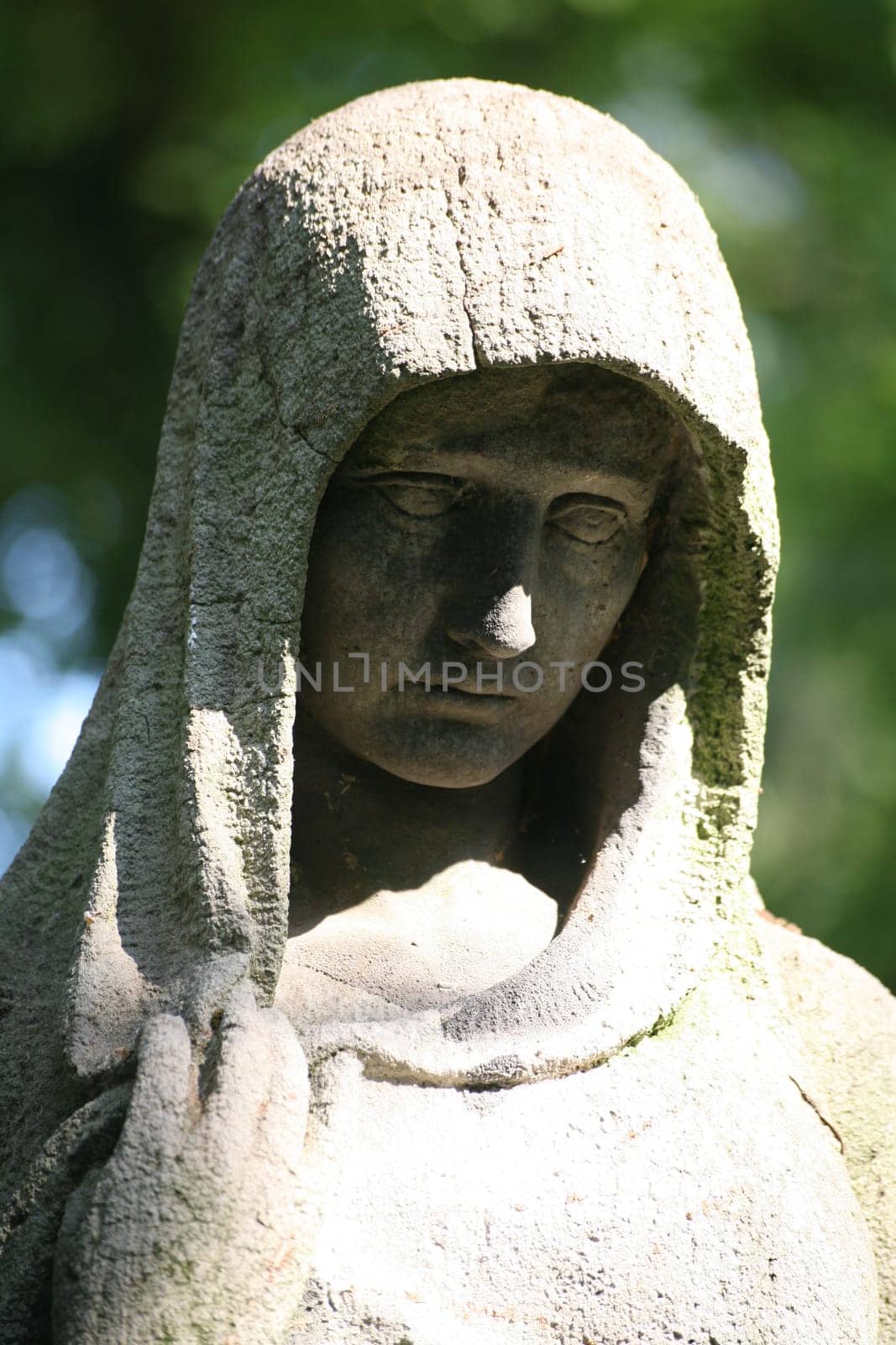 In an old cemetery