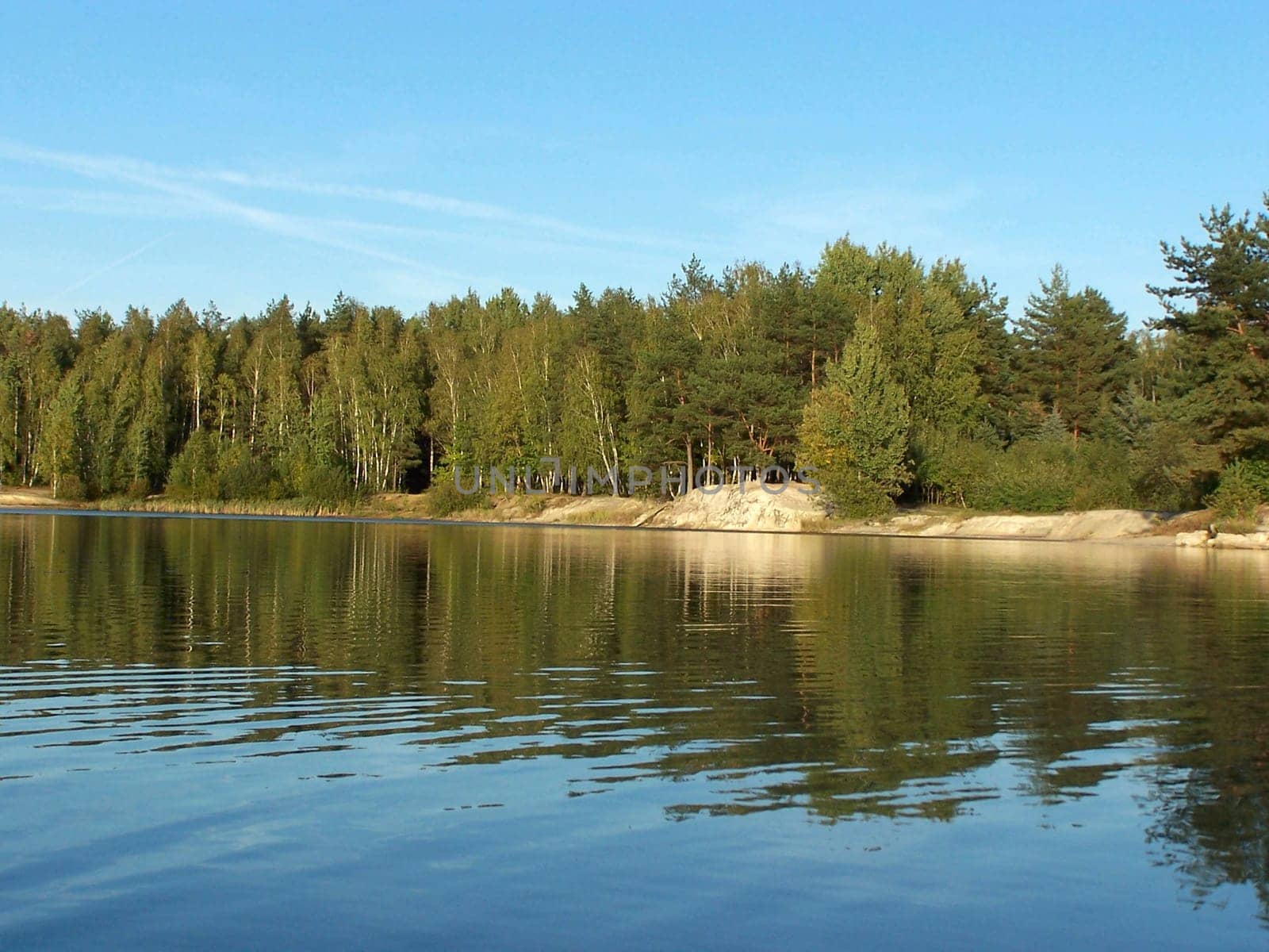 forest lake
